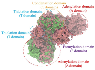 Antibiotics 14 00805 i020 Antibiotics 14 00805 i020