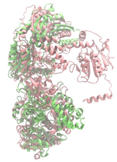 Antibiotics 14 00805 i021 Antibiotics 14 00805 i021