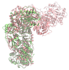 Antibiotics 14 00805 i023 Antibiotics 14 00805 i023