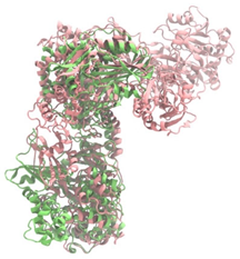 Antibiotics 14 00805 i025 Antibiotics 14 00805 i025