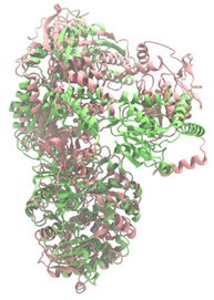 Antibiotics 14 00805 i027 Antibiotics 14 00805 i027