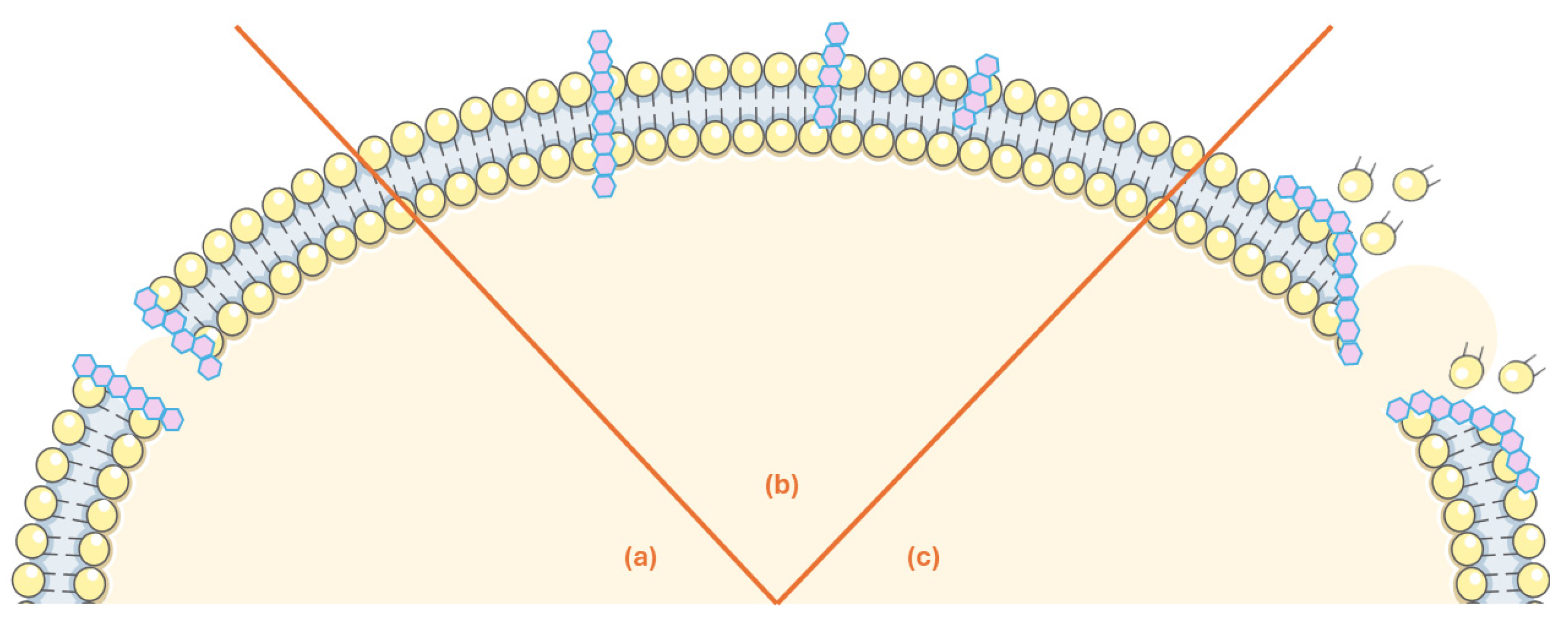 Antibiotics 14 00808 g002