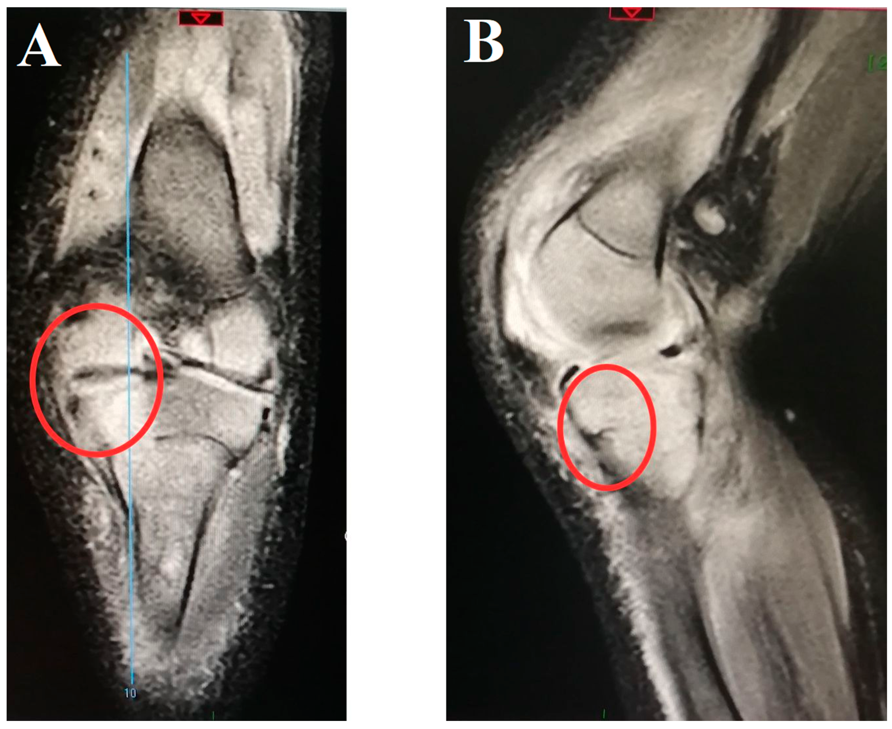 Antibiotics 14 00821 g001