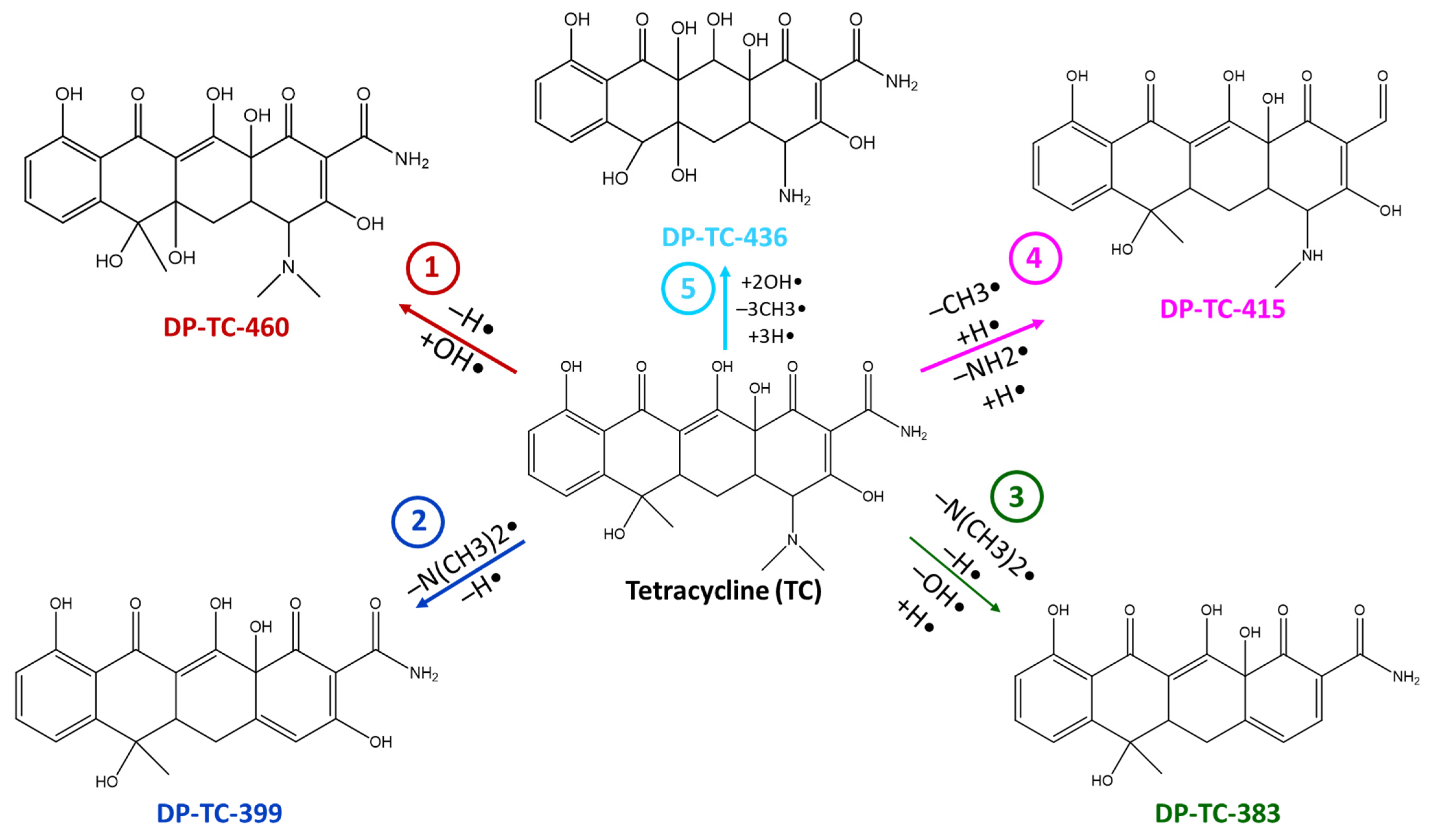 Antibiotics 14 00833 g005