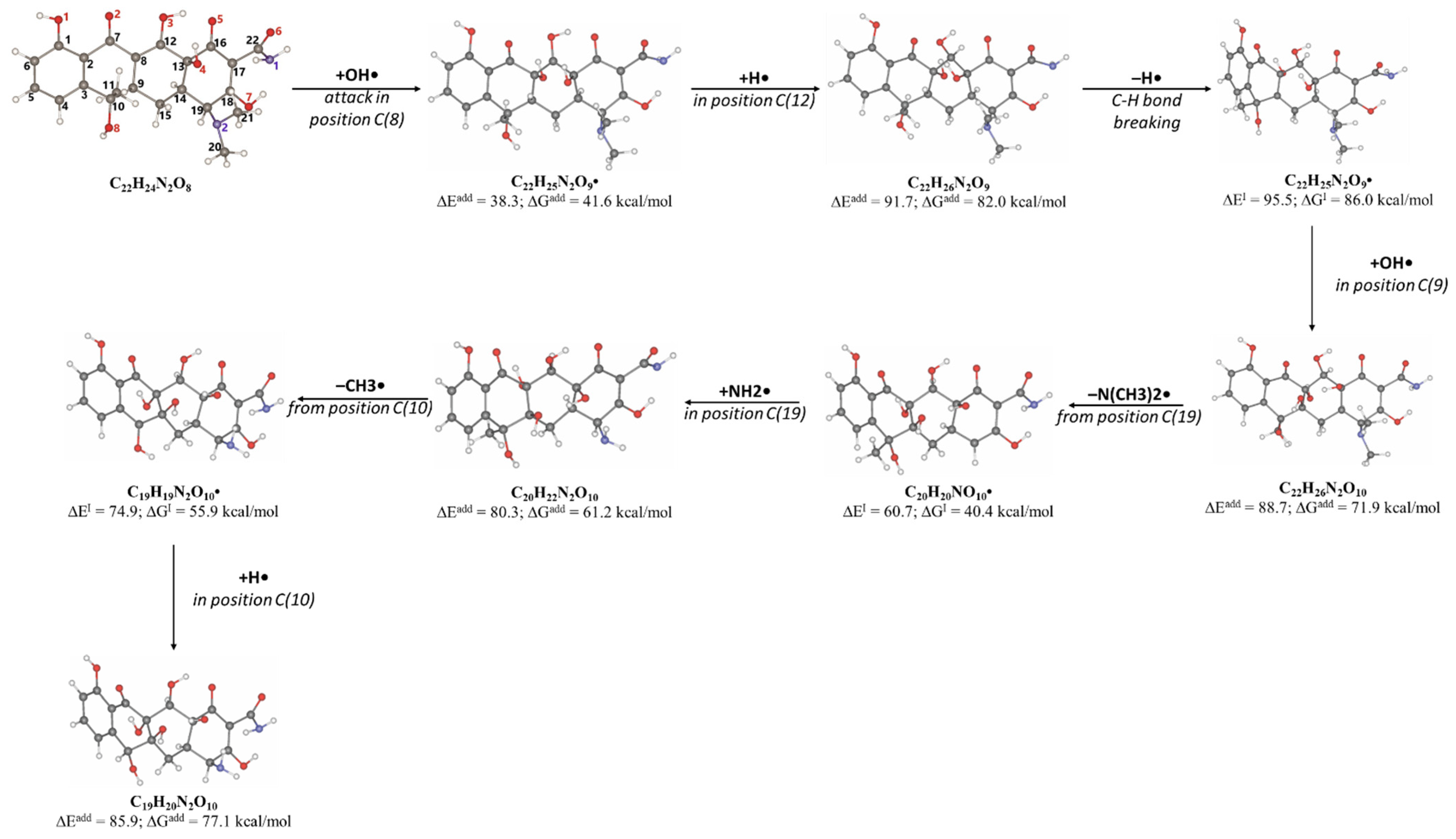 Antibiotics 14 00833 g010