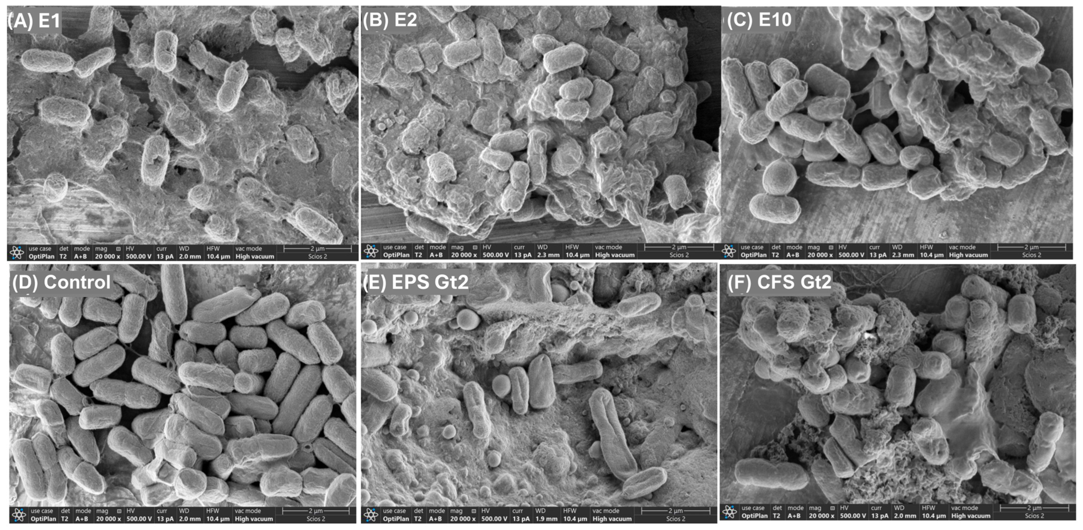 Antibiotics 14 00851 g003