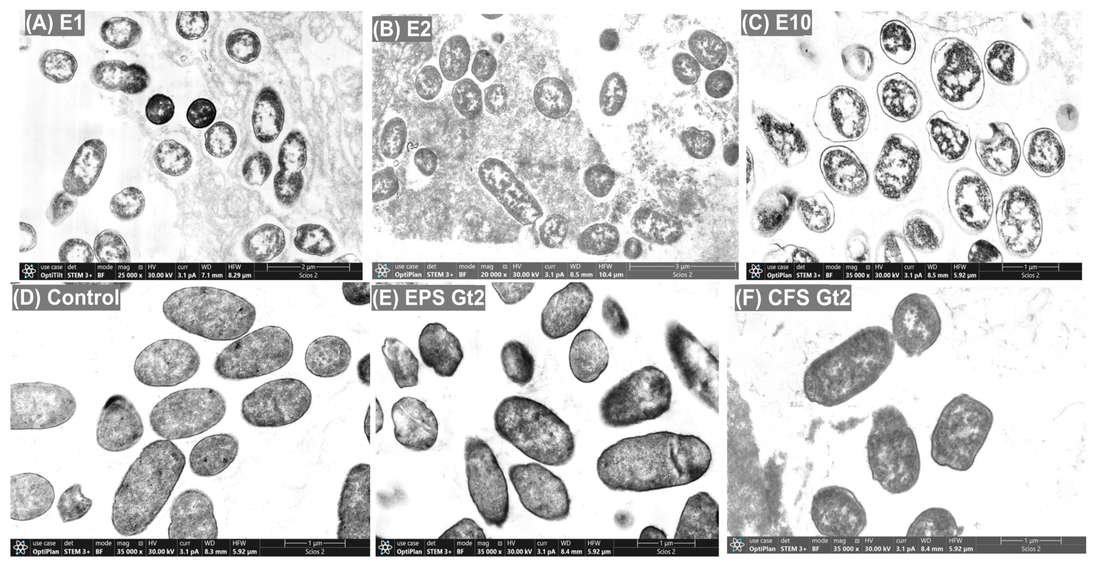 Antibiotics 14 00851 g004