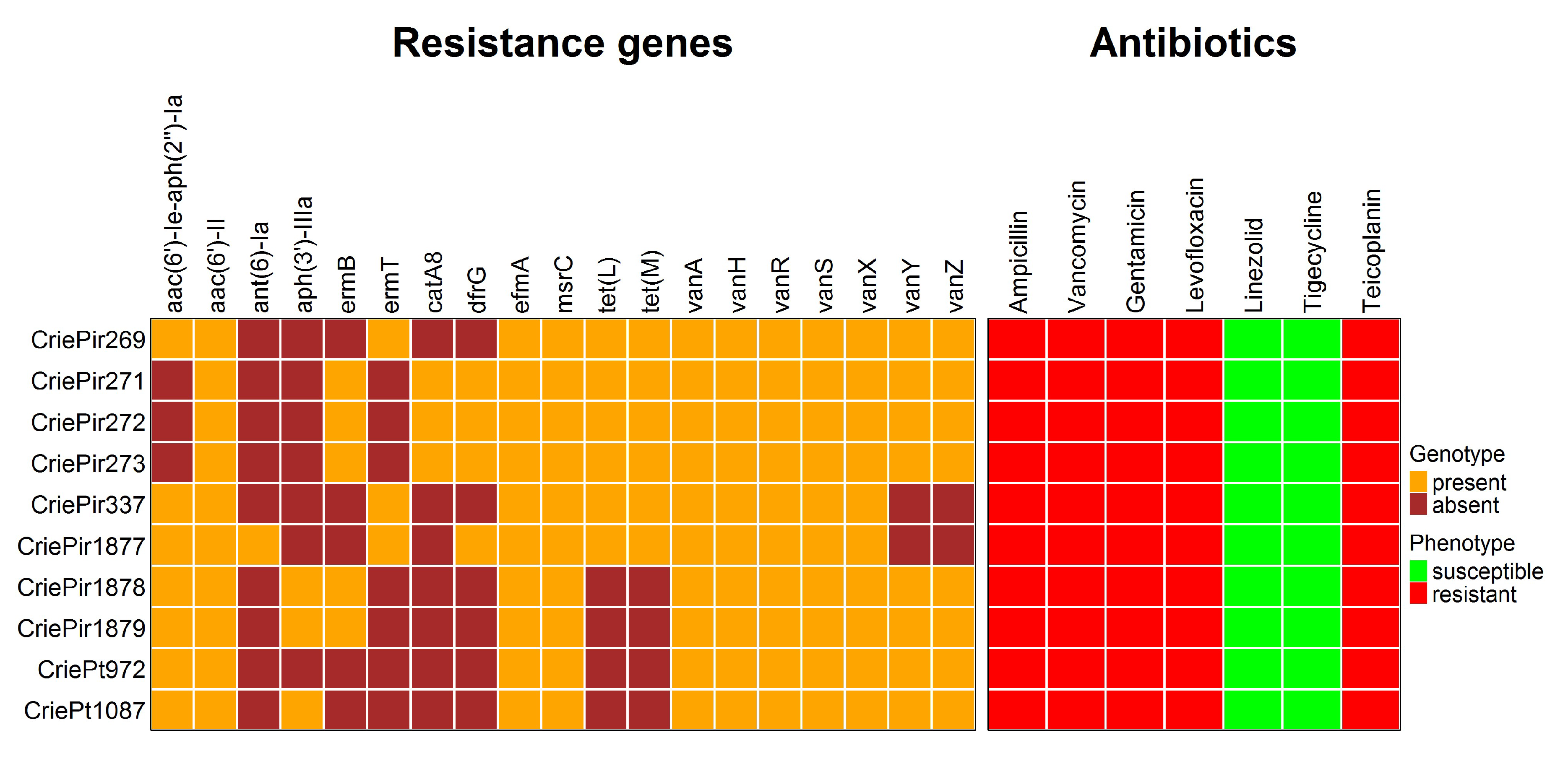 Antibiotics 14 00858 g002