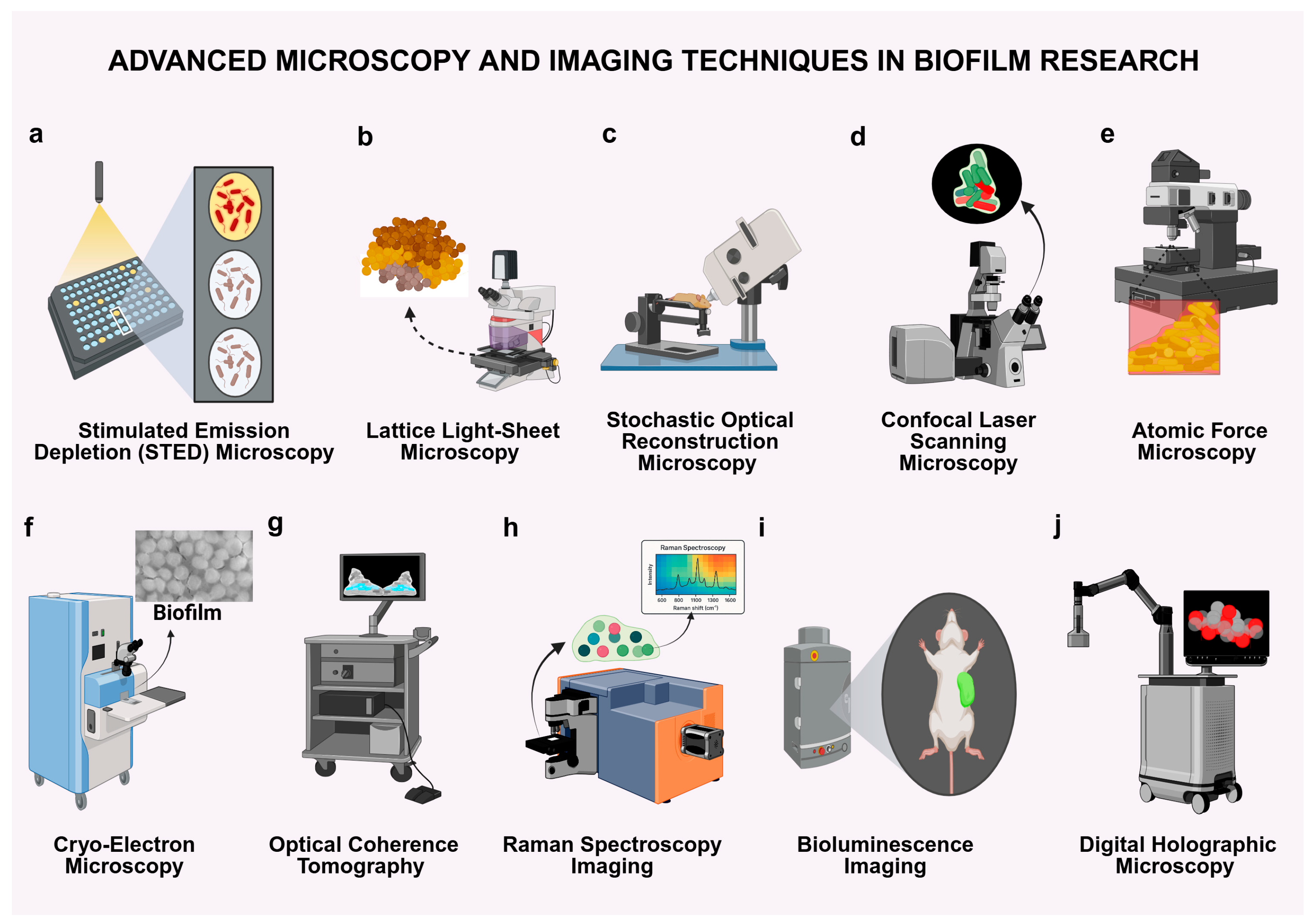 Antibiotics 14 00865 g002