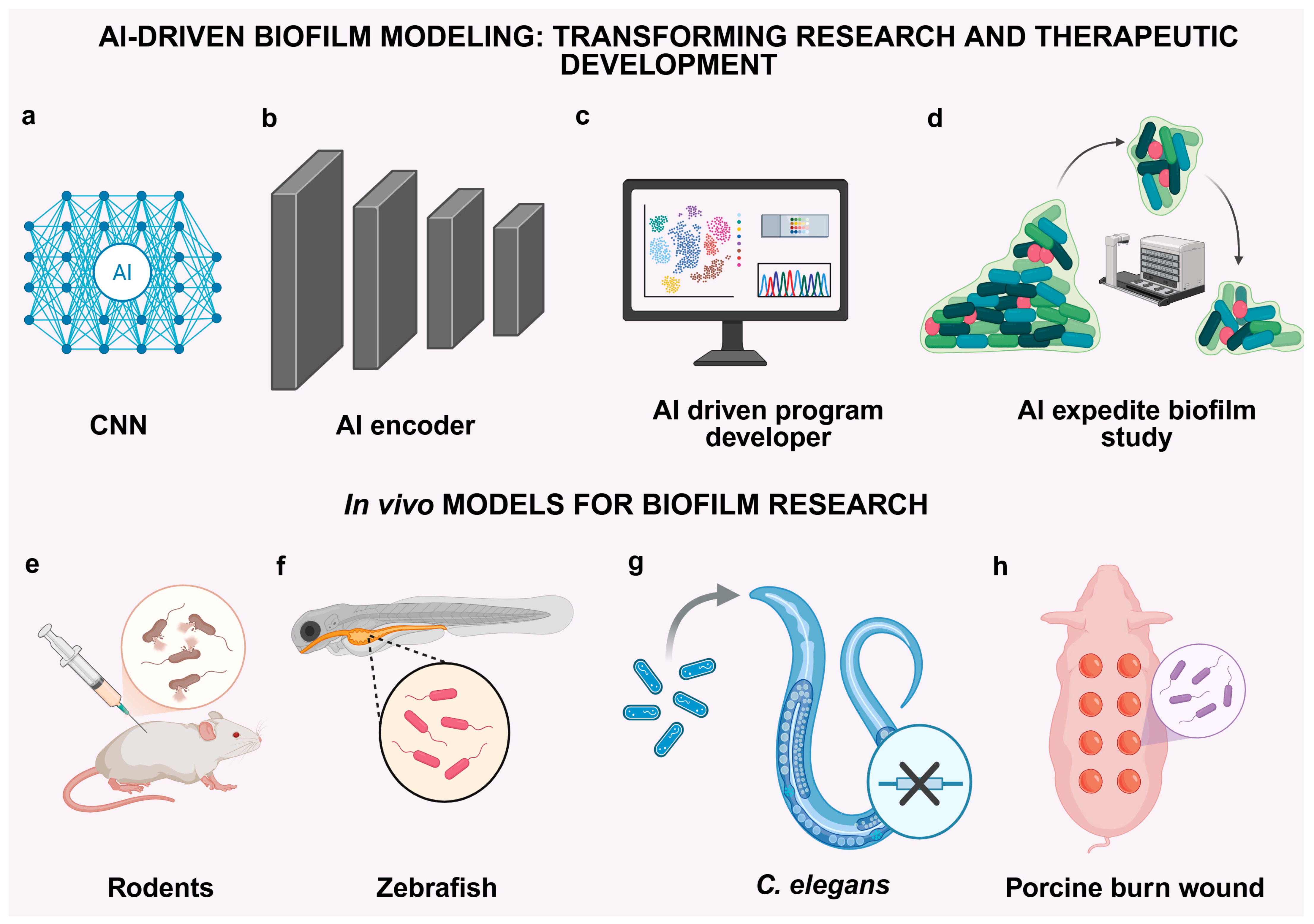 Antibiotics 14 00865 g003