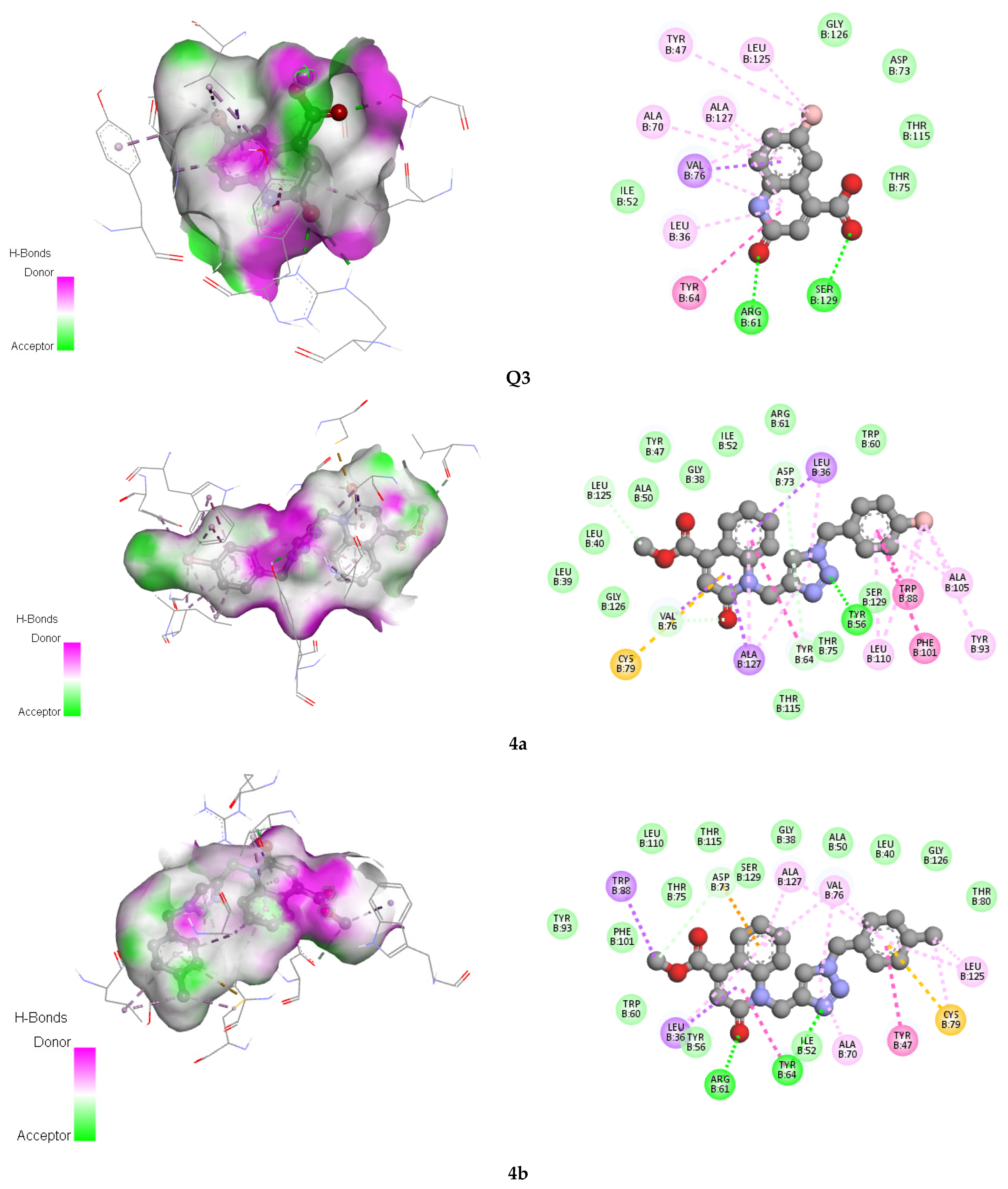 Antibiotics 14 00877 g006a