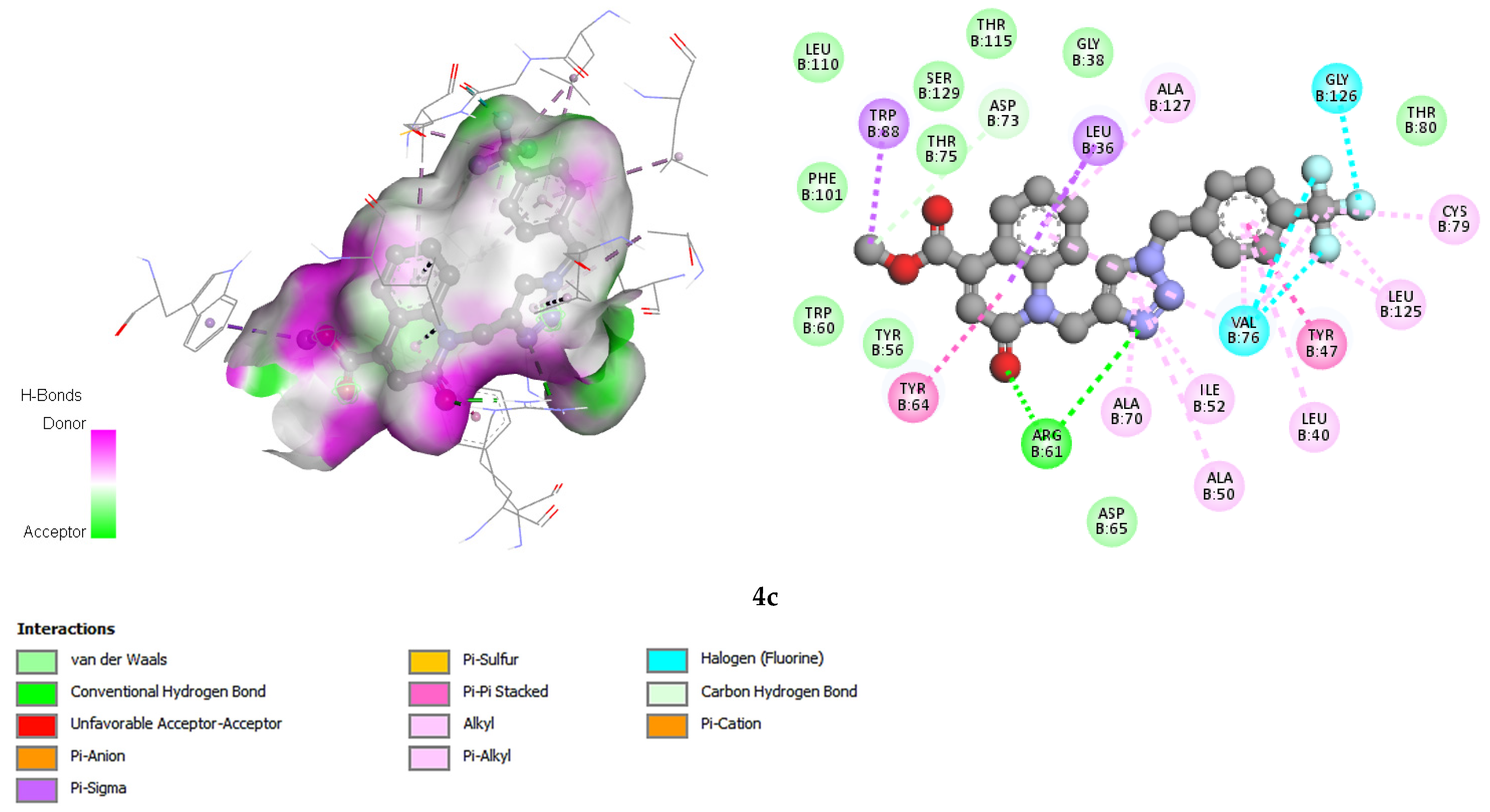 Antibiotics 14 00877 g006b