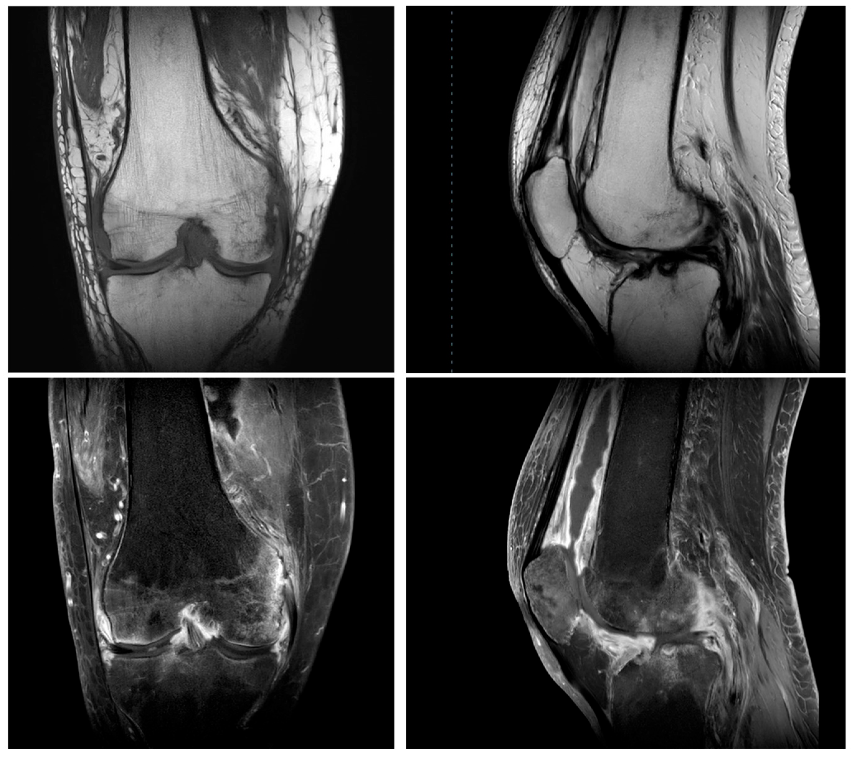 Antibiotics 14 00880 g001