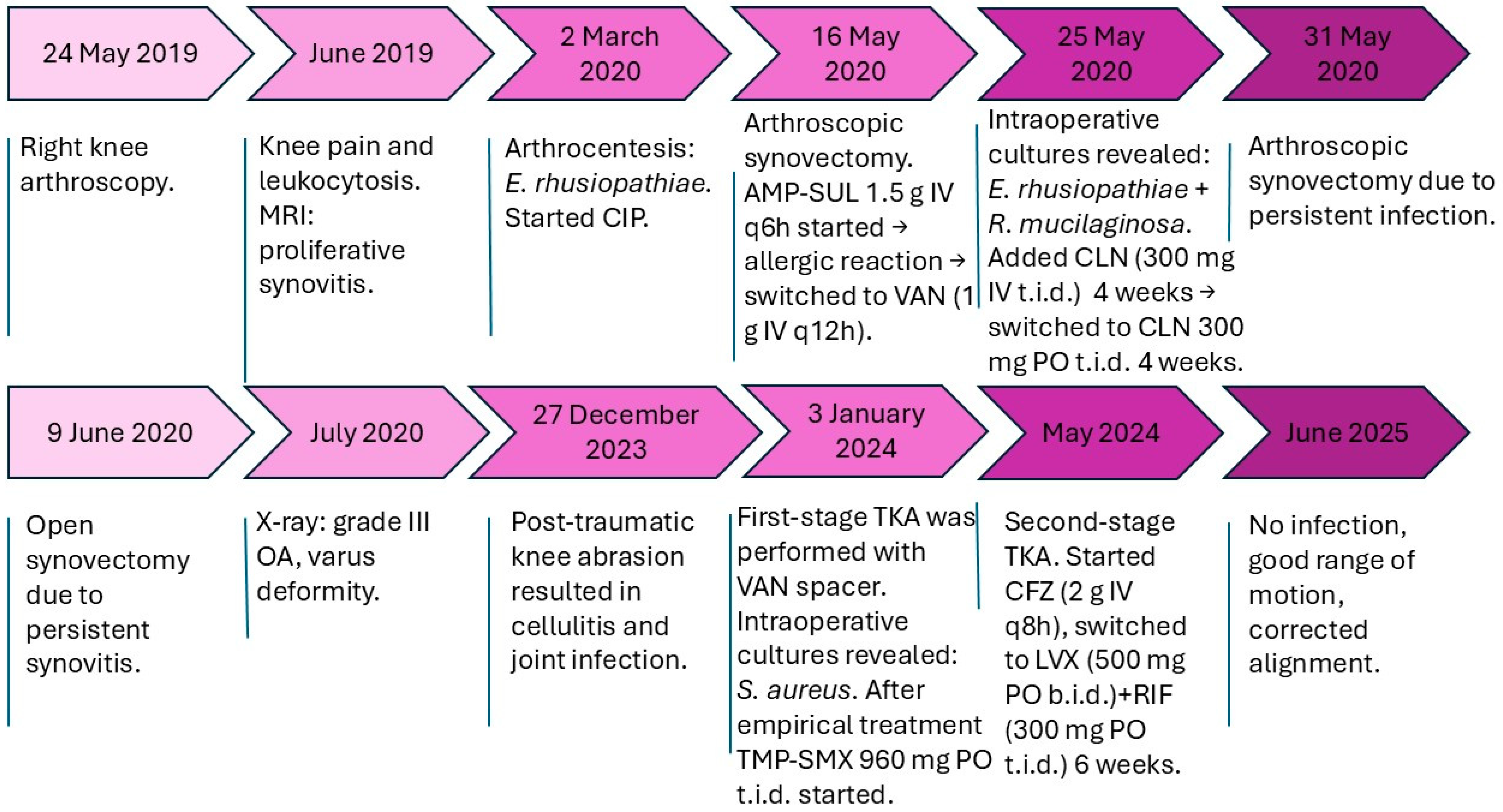 Antibiotics 14 00880 g002