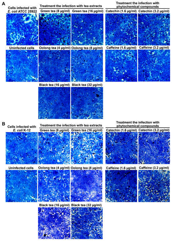 Antibiotics 14 00886 g002