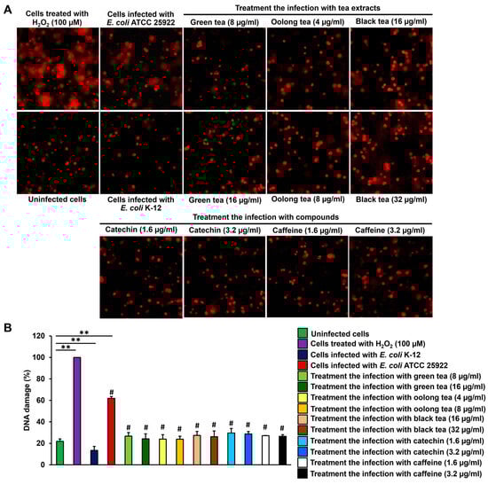 Antibiotics 14 00886 g003