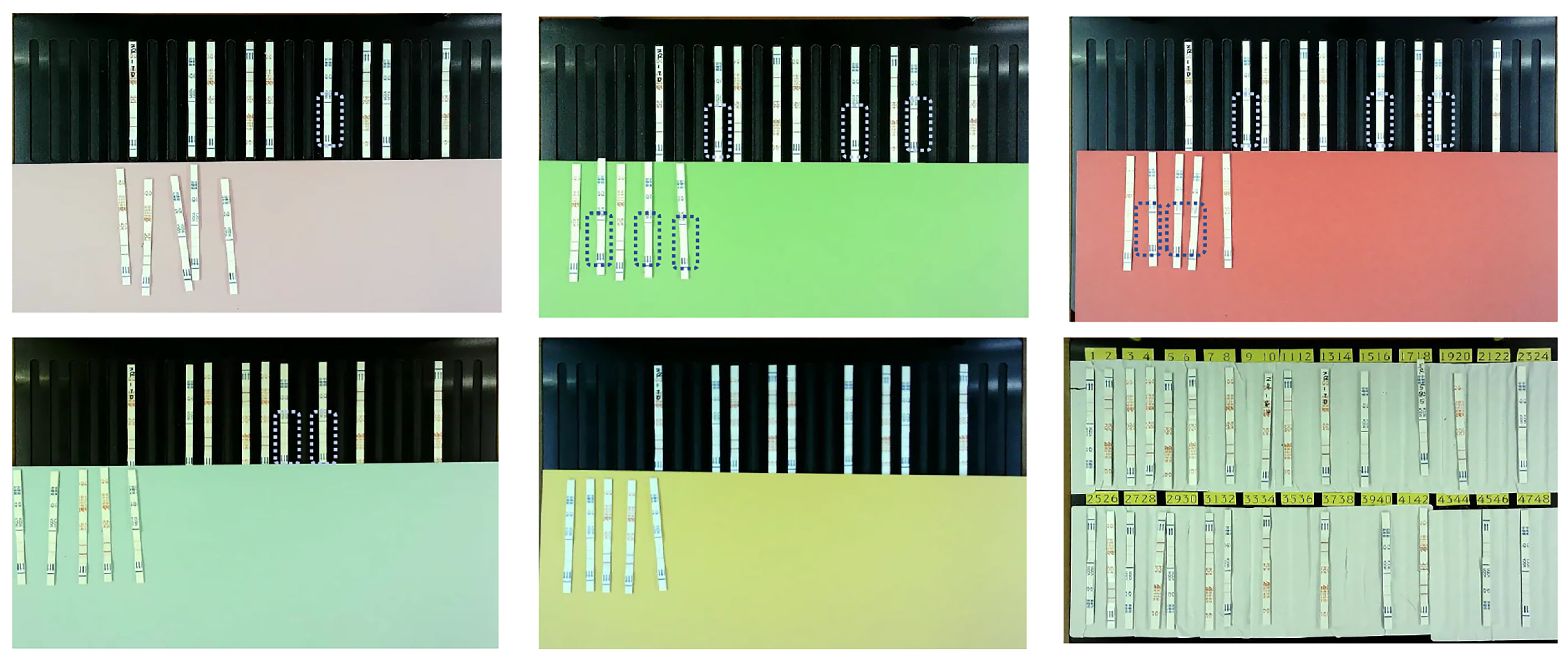 Antibiotics 14 00917 g001 Antibiotics 14 00917 g001