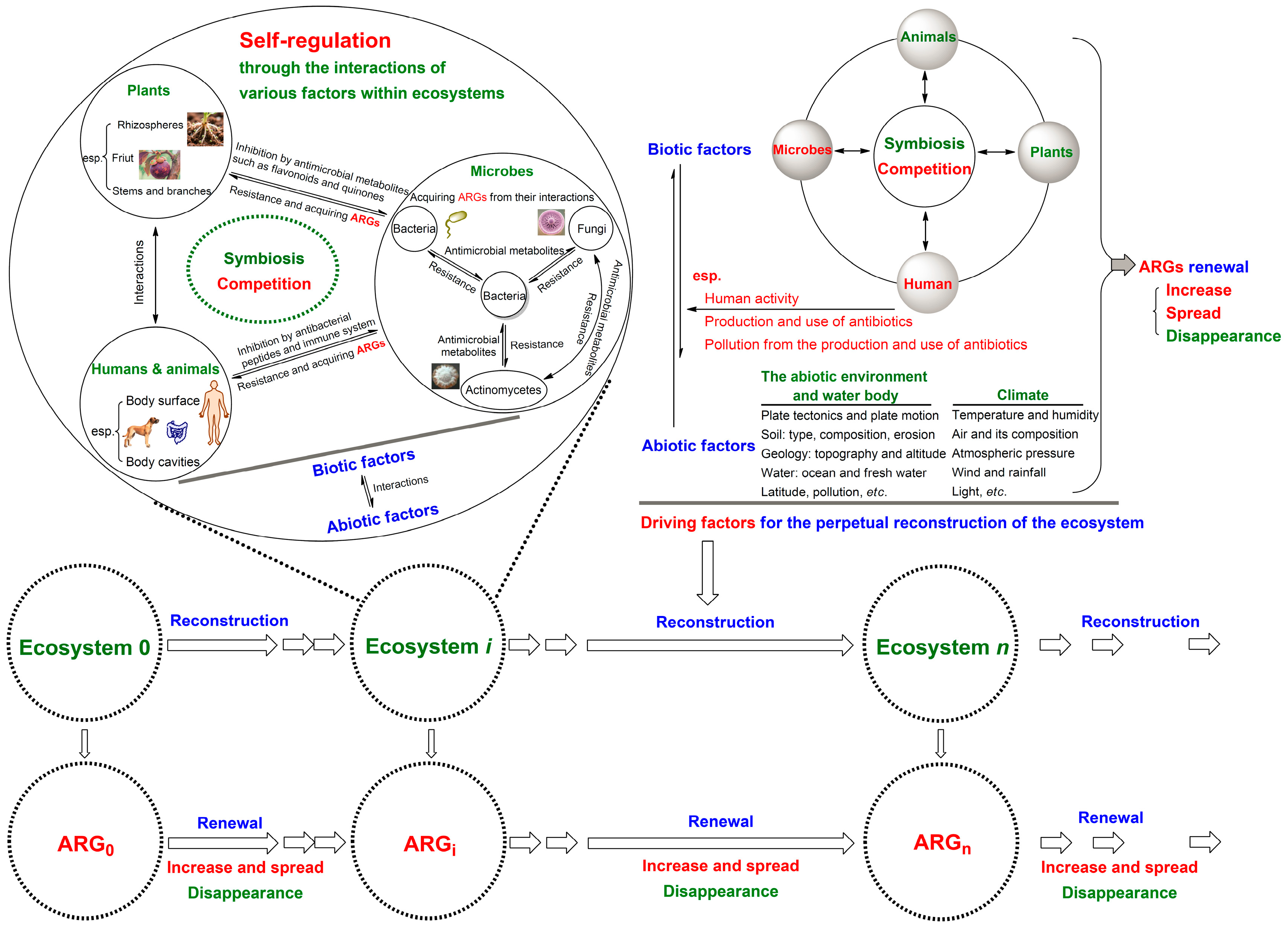 Antibiotics 14 00920 g002 Antibiotics 14 00920 g002