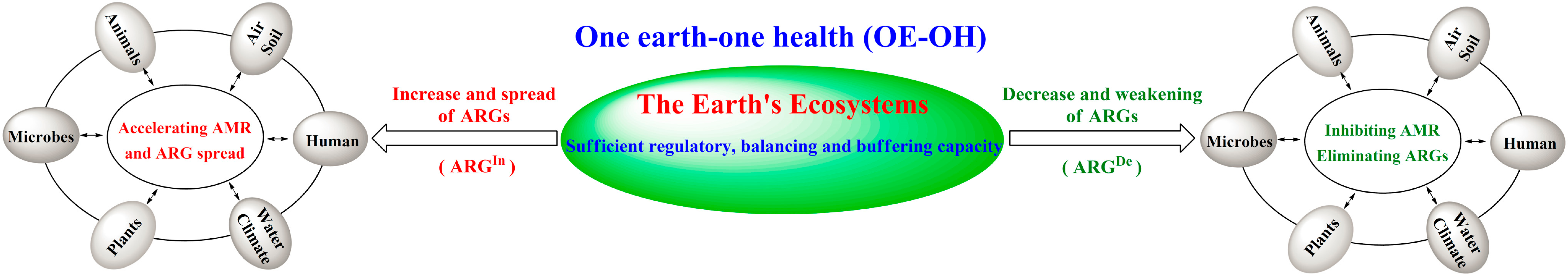 Antibiotics 14 00920 i001