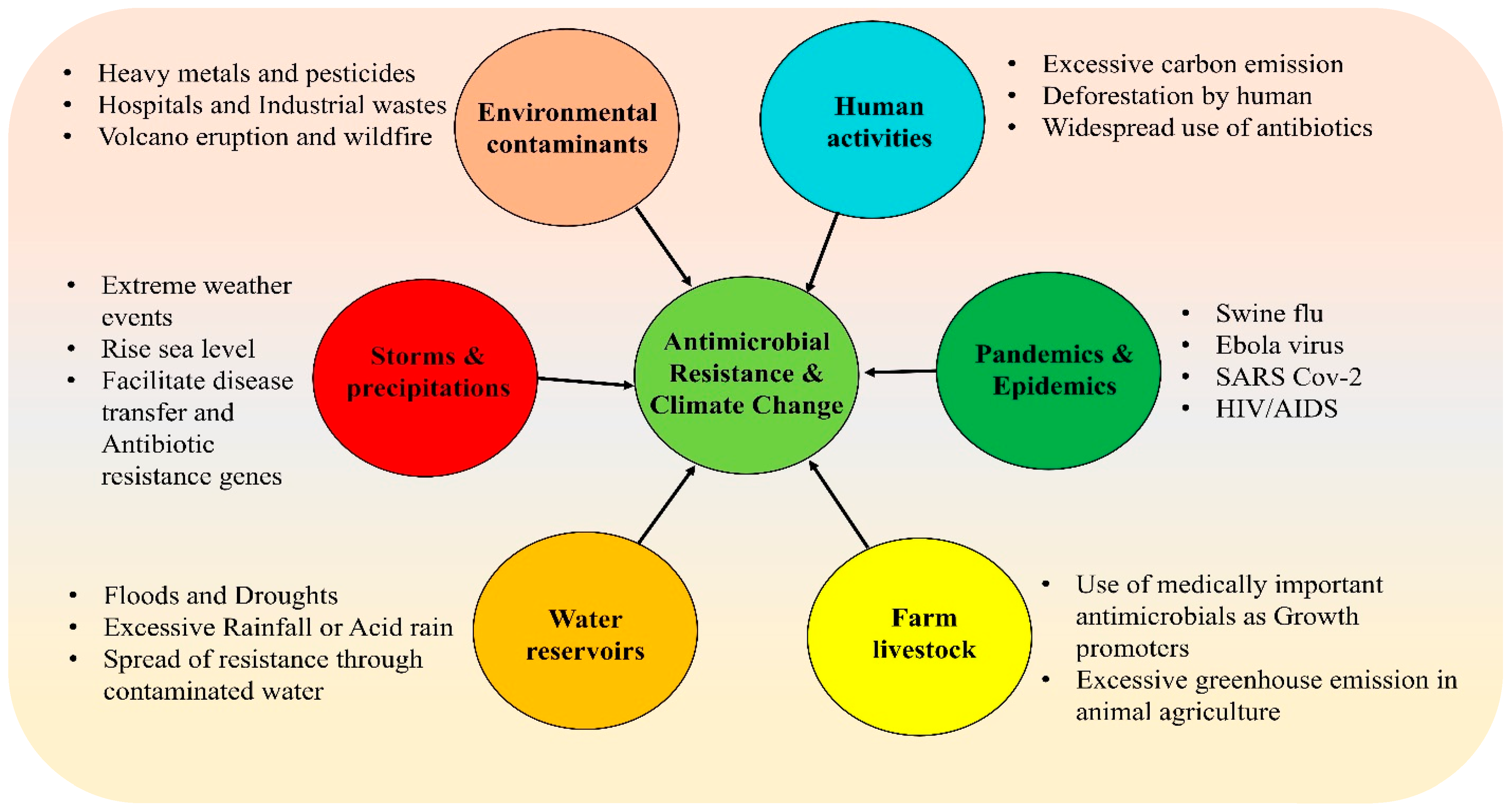 Antibiotics 14 00946 g004