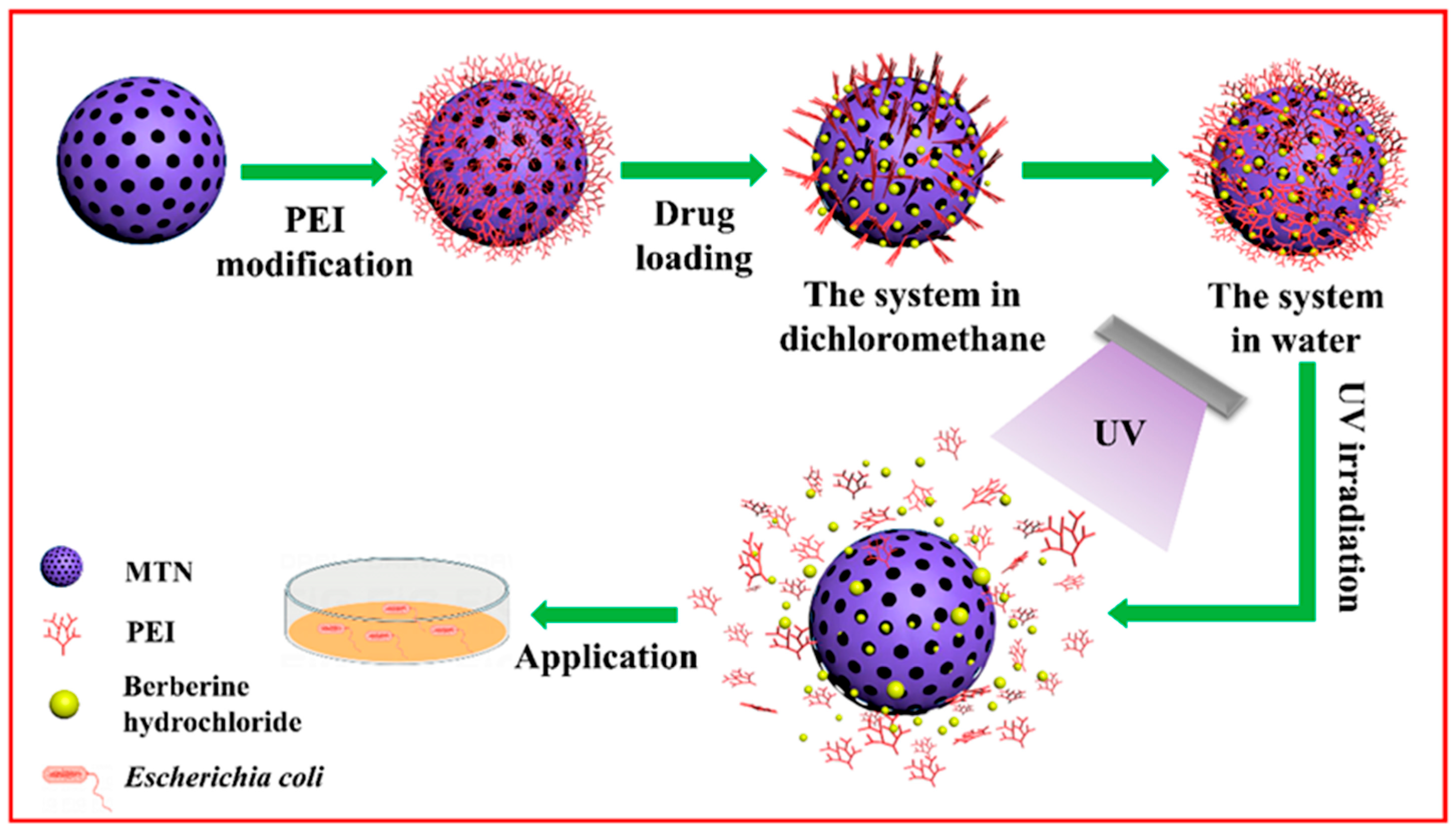 Antibiotics 14 00981 g005