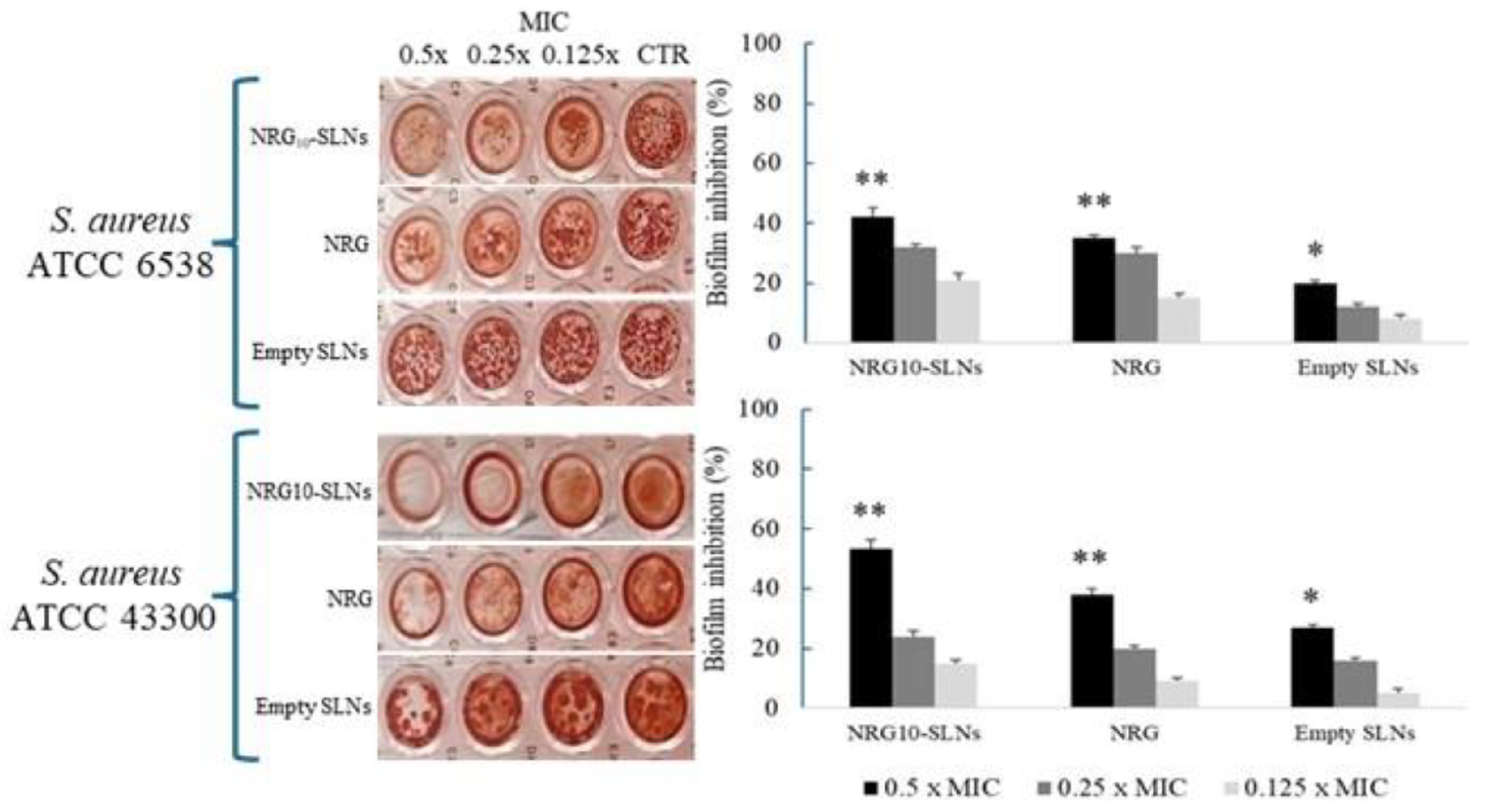 Antibiotics 14 00981 g008