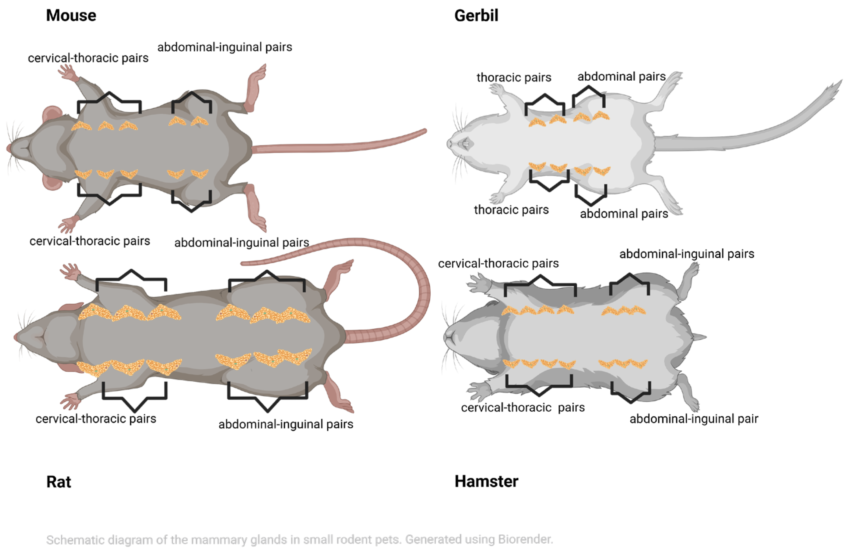 Antibiotics 14 01000 g001