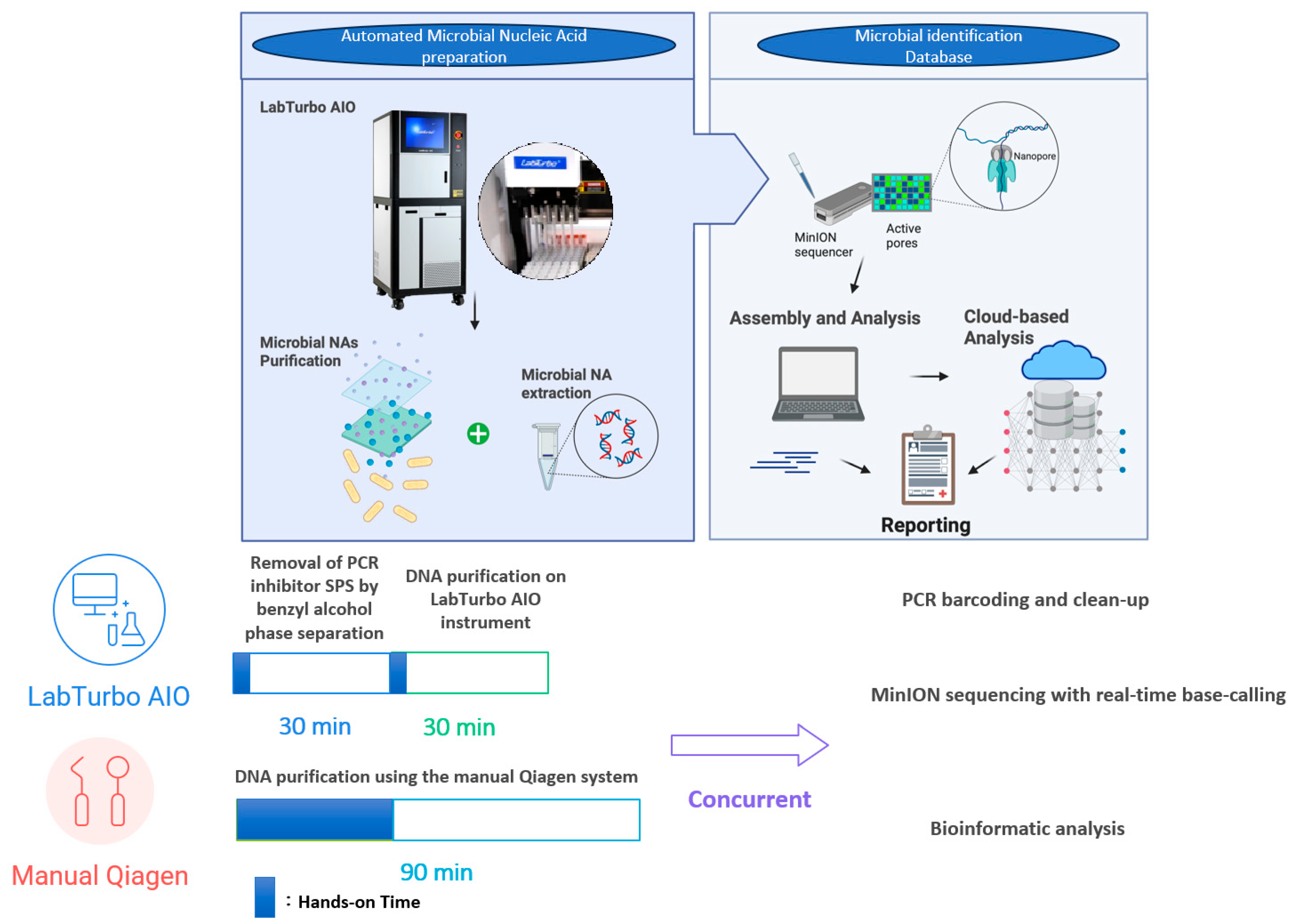 Antibiotics 14 01001 g003