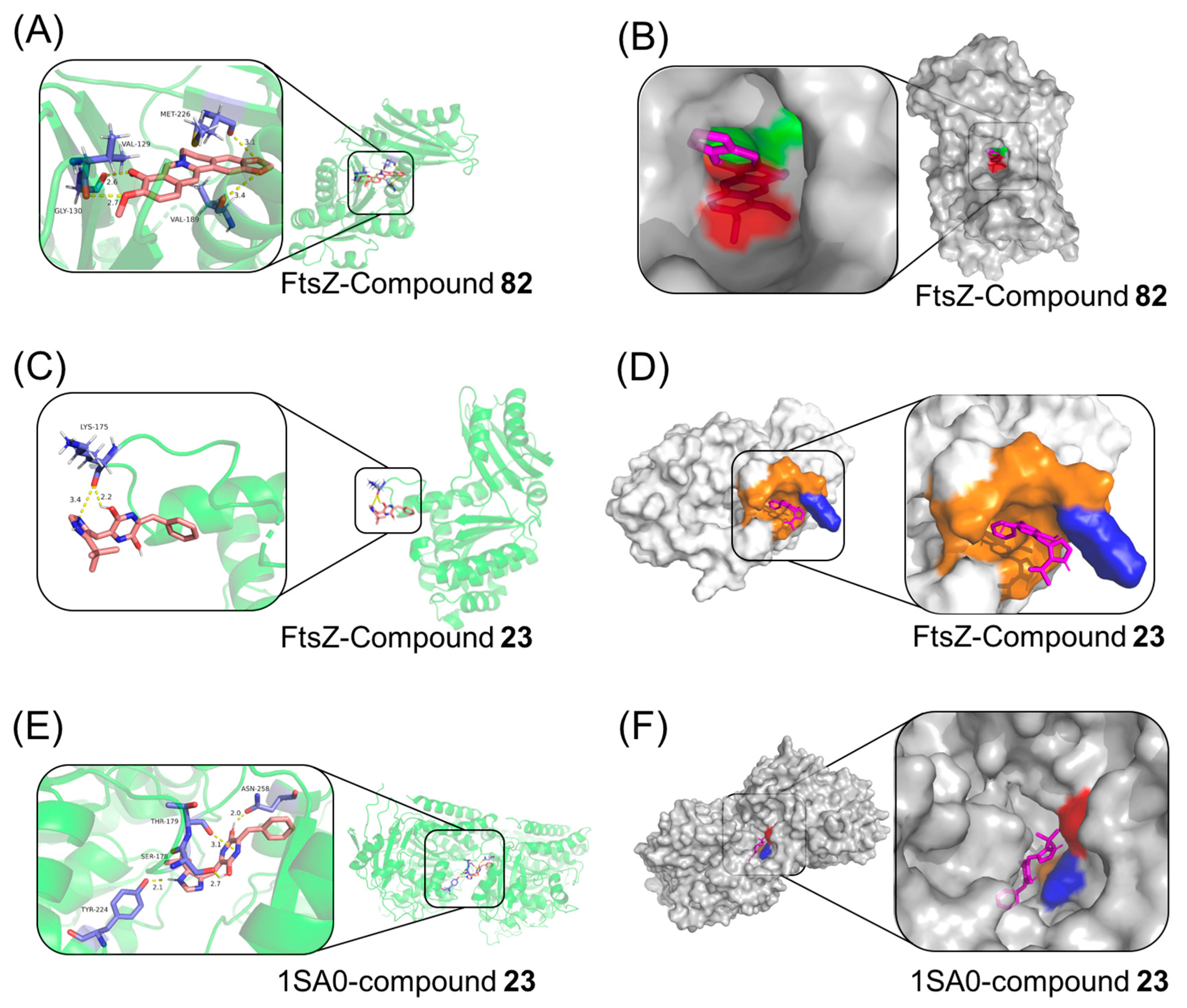 Antibiotics 14 01014 g011
