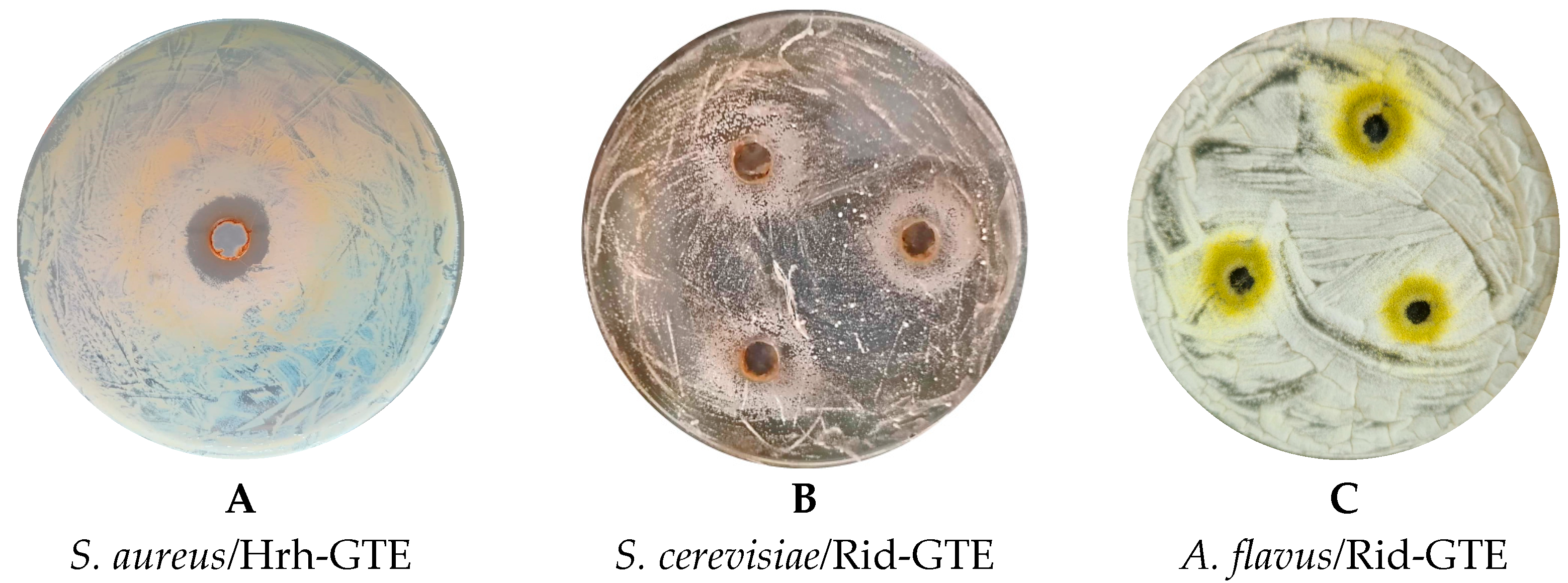 Antibiotics 14 01052 g003