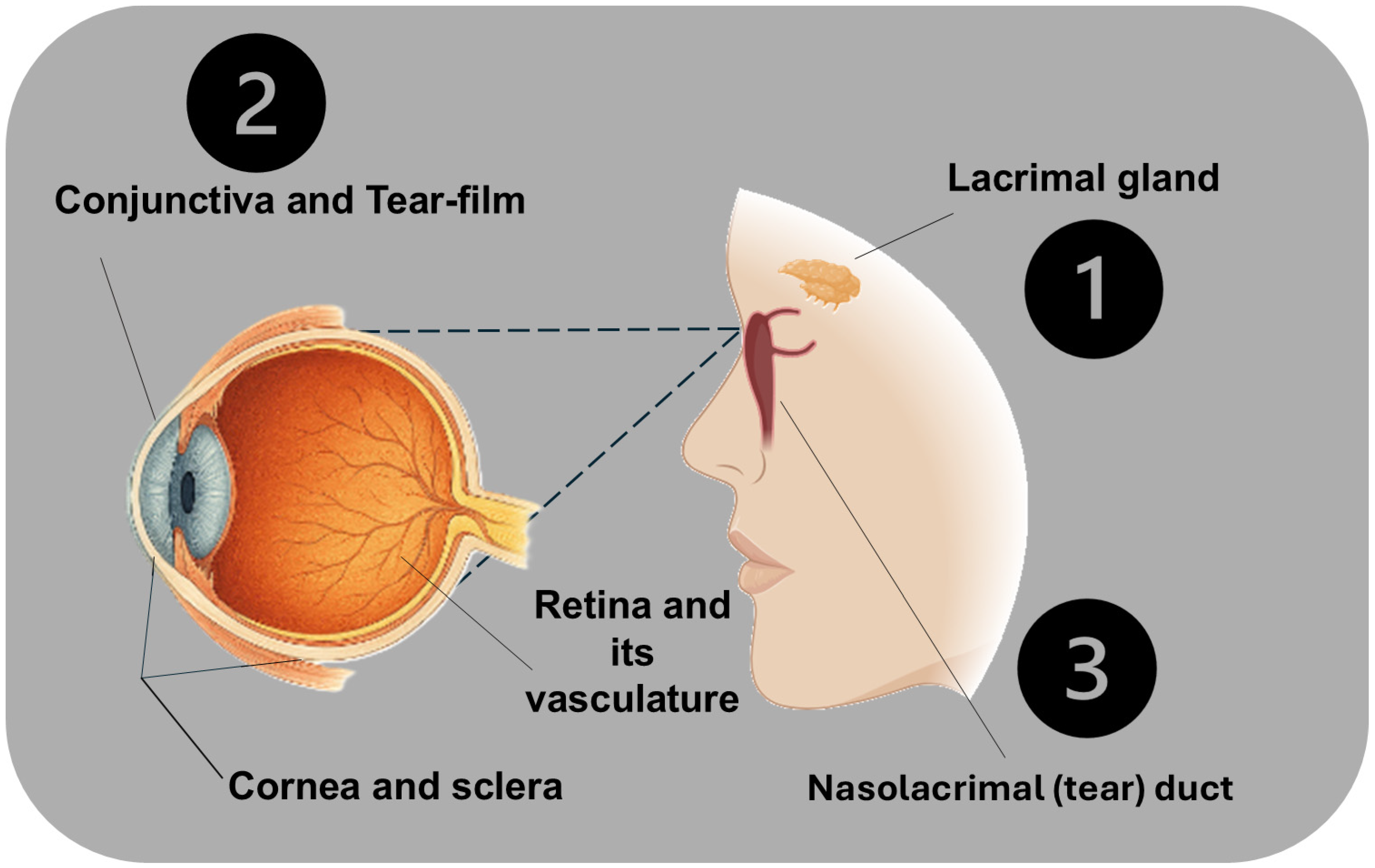 Antibiotics 14 01069 g002 Antibiotics 14 01069 g002