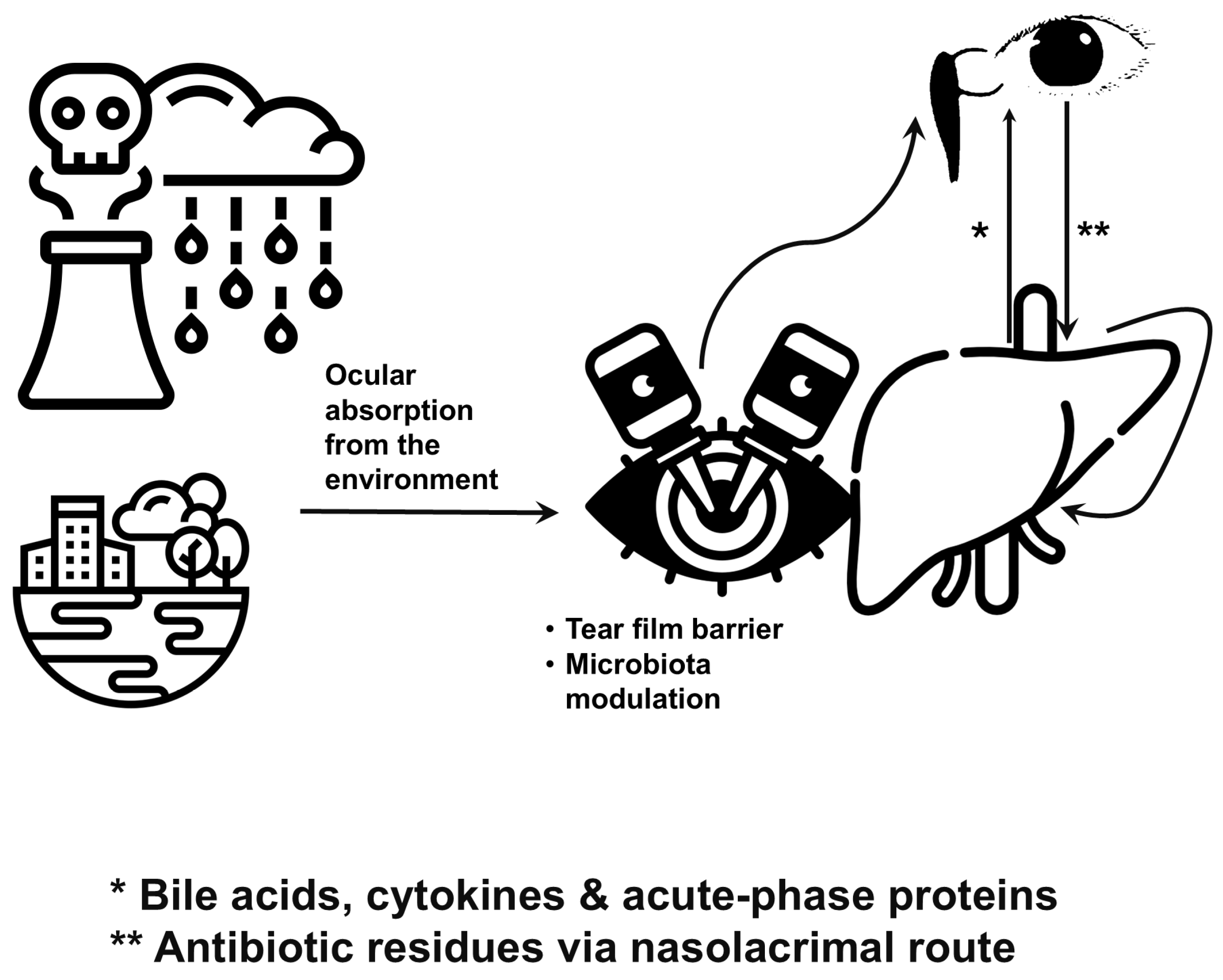 Antibiotics 14 01069 g004 Antibiotics 14 01069 g004