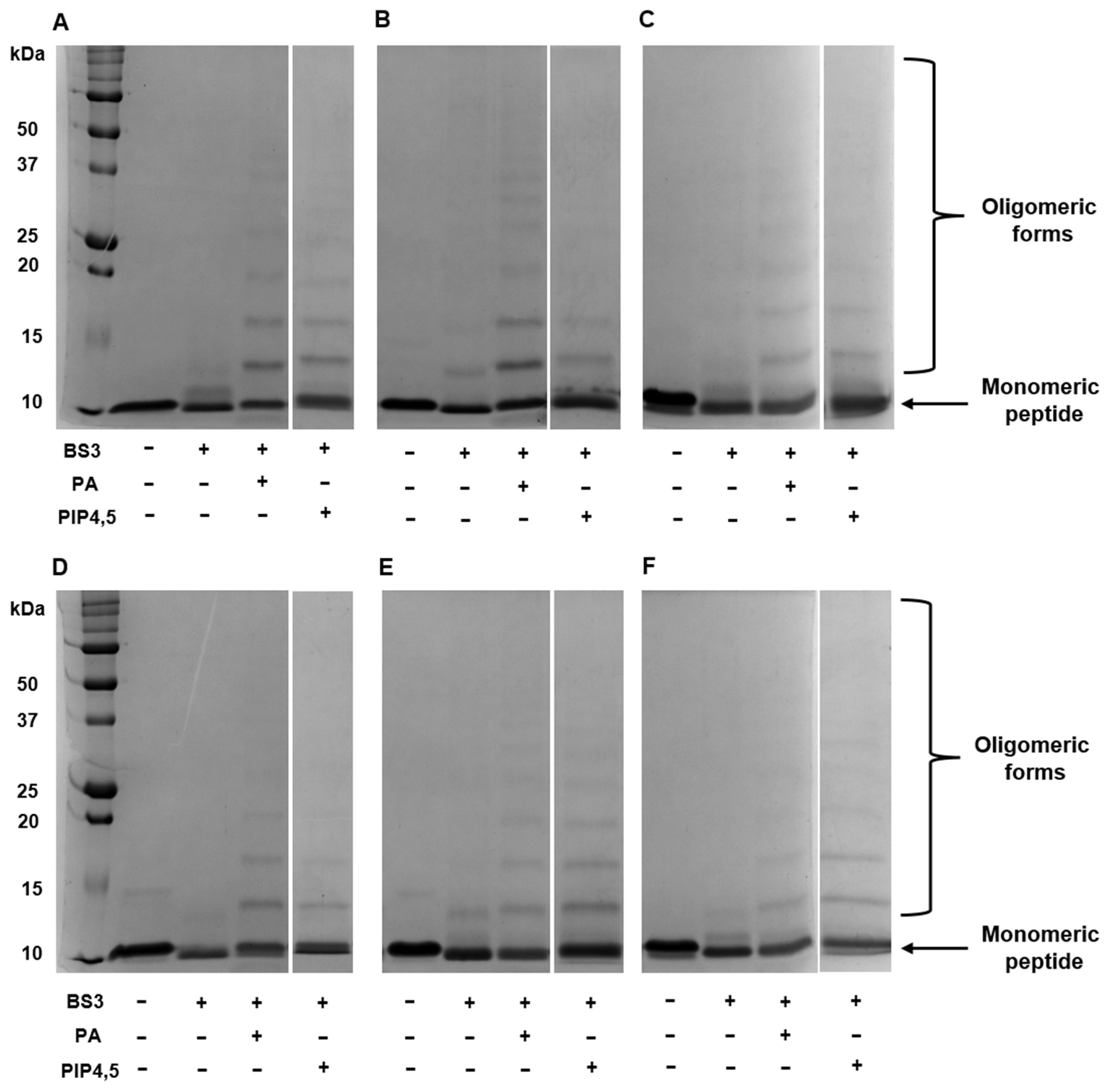 Antibiotics 14 01129 g004 Antibiotics 14 01129 g004
