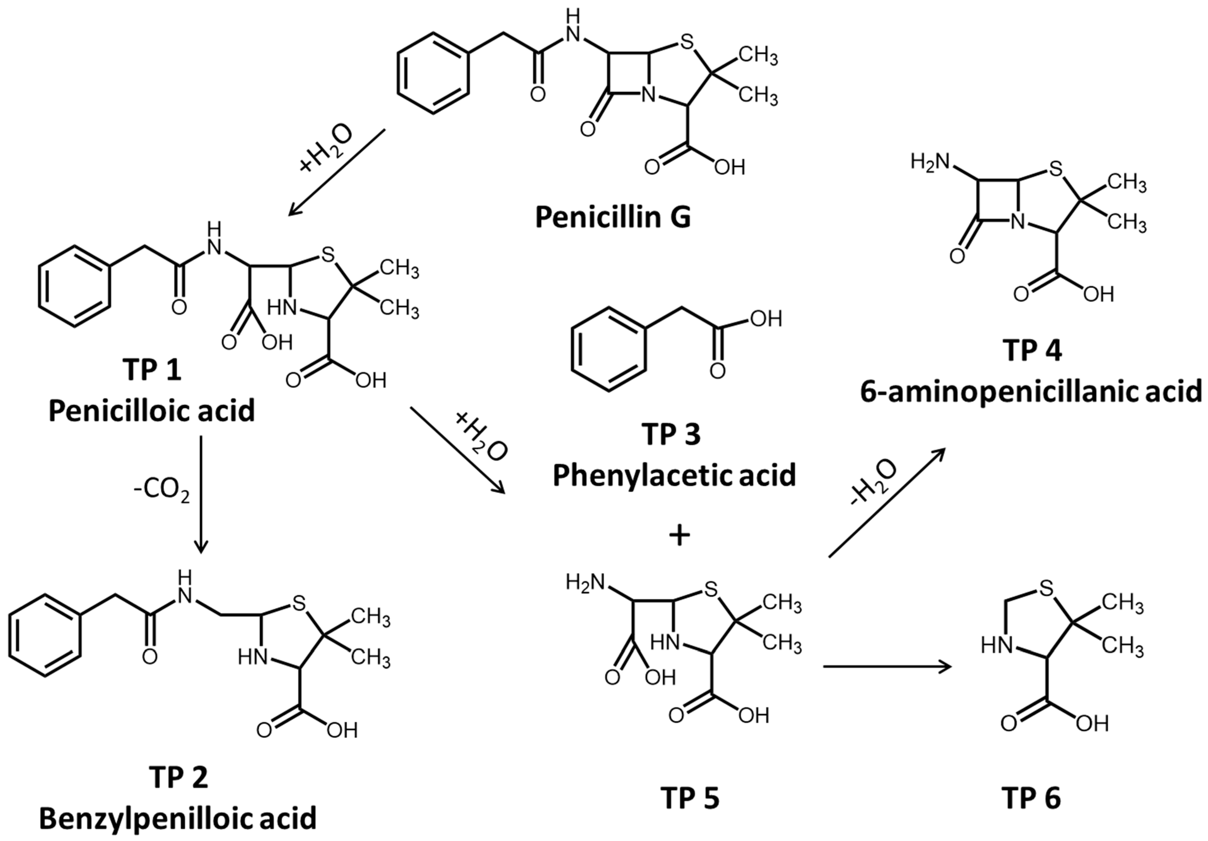 Antibiotics 14 01144 g003 Antibiotics 14 01144 g003