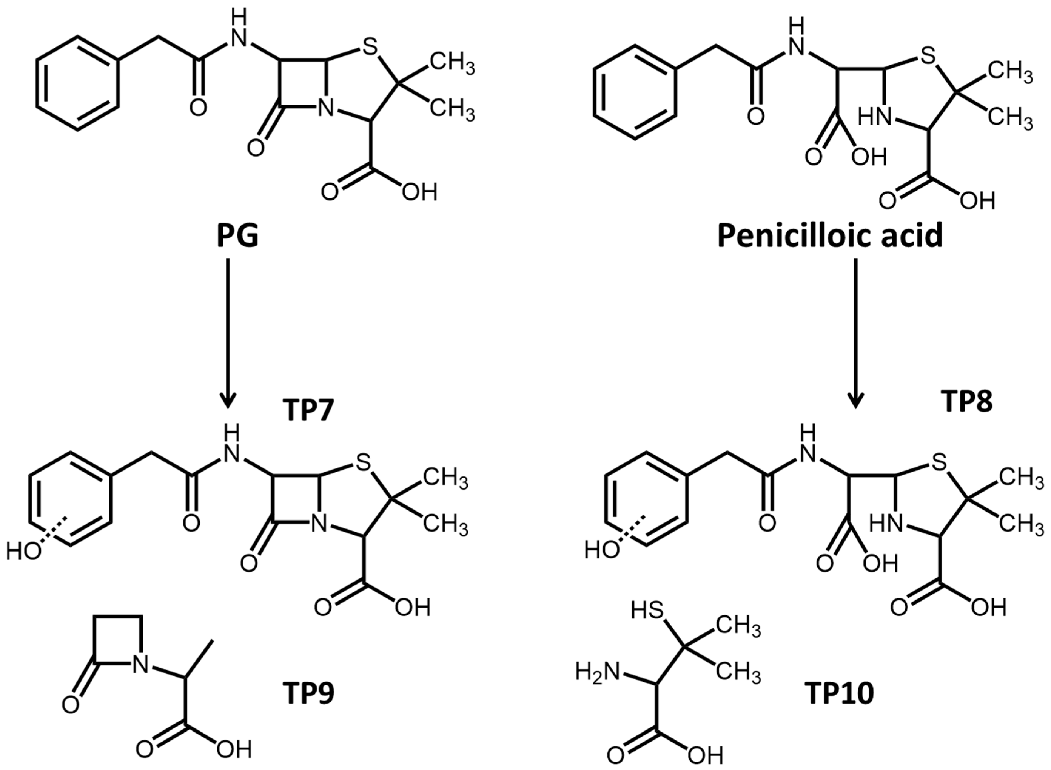 Antibiotics 14 01144 g004 Antibiotics 14 01144 g004