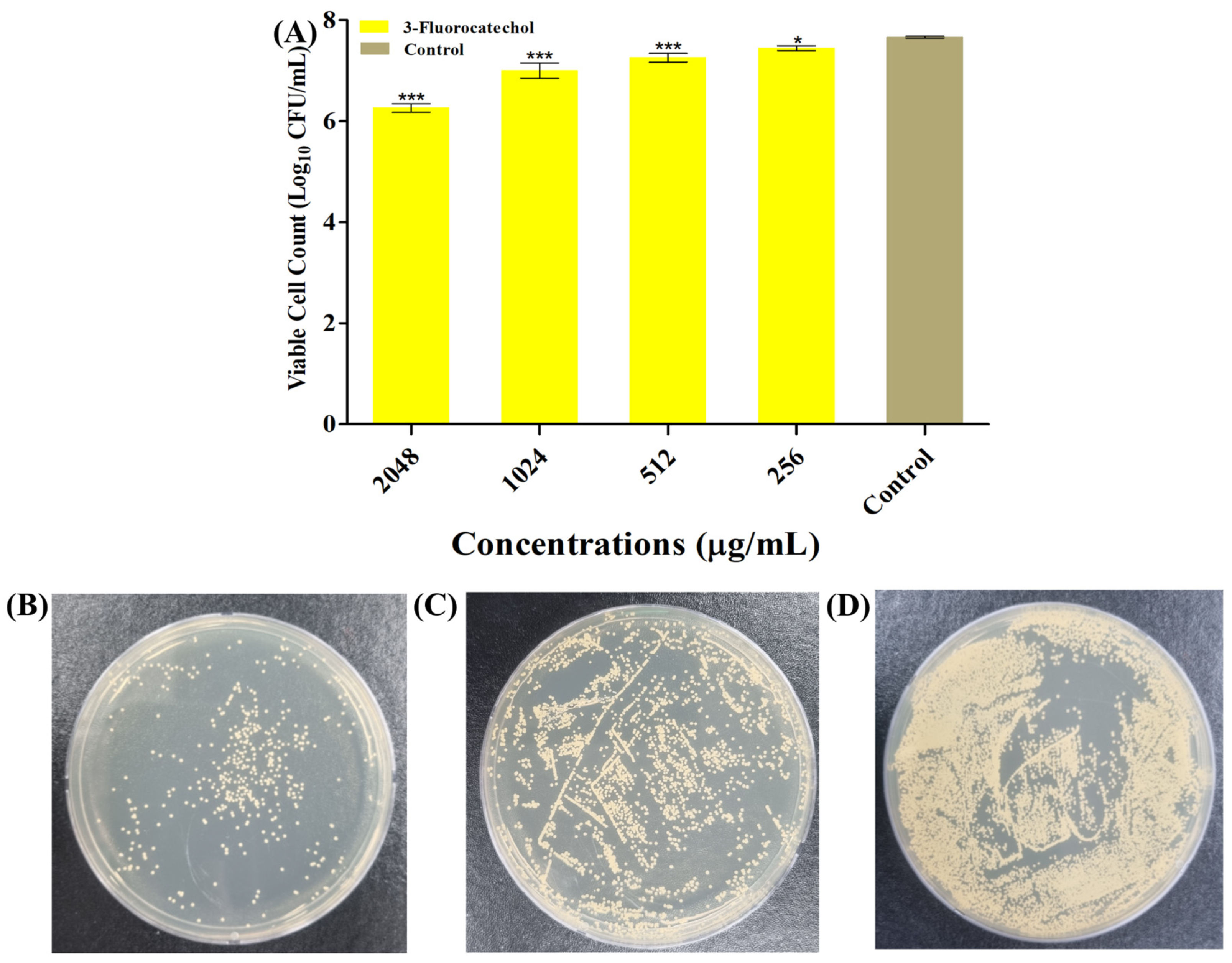 Antibiotics 14 01240 g002 Antibiotics 14 01240 g002