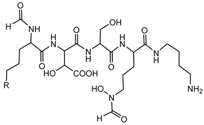 Antibiotics 15 00017 i003