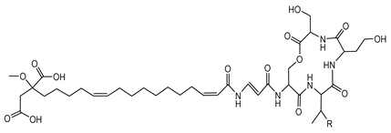 Antibiotics 15 00017 i004