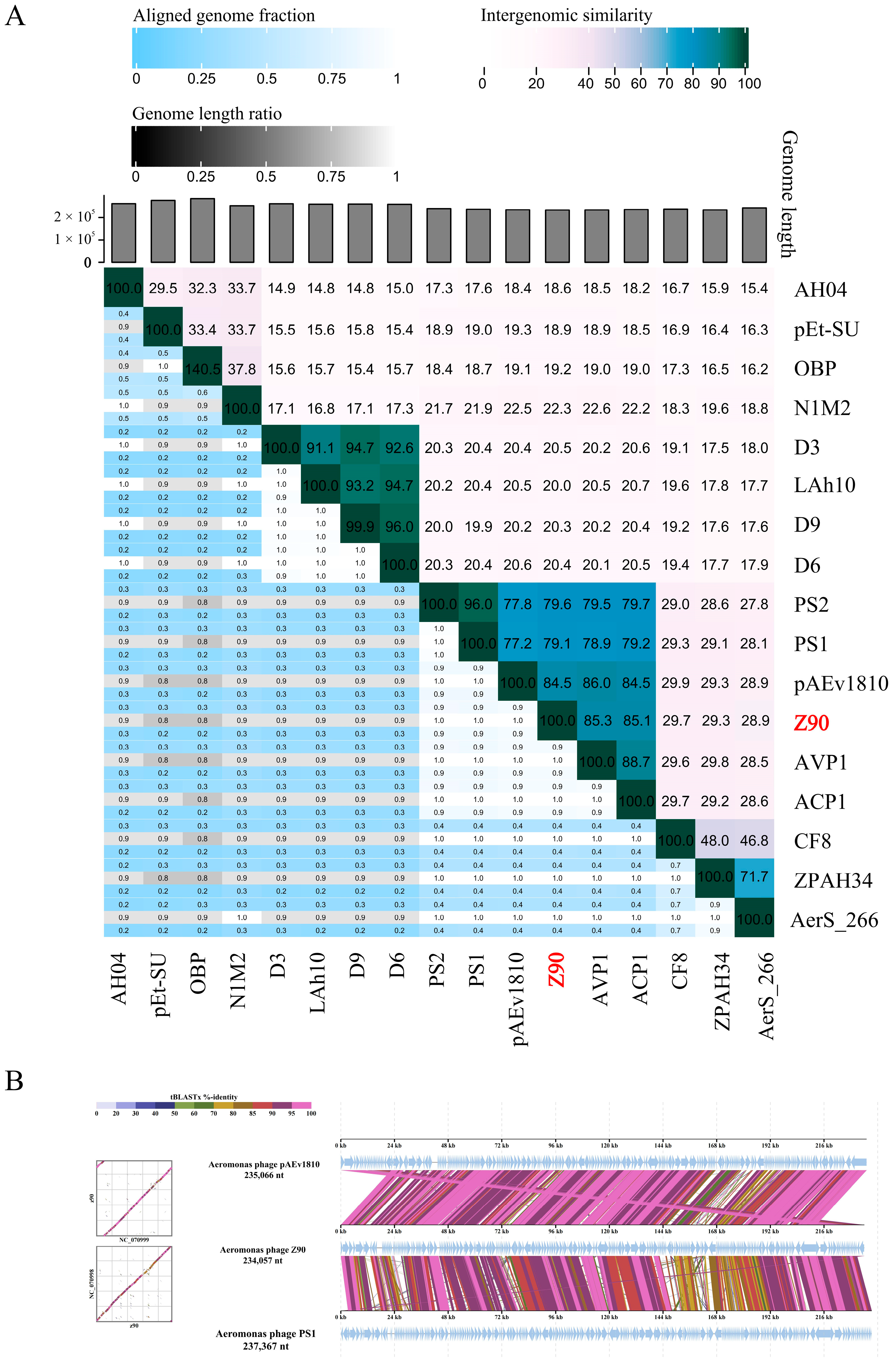 Antibiotics 15 00027 g005