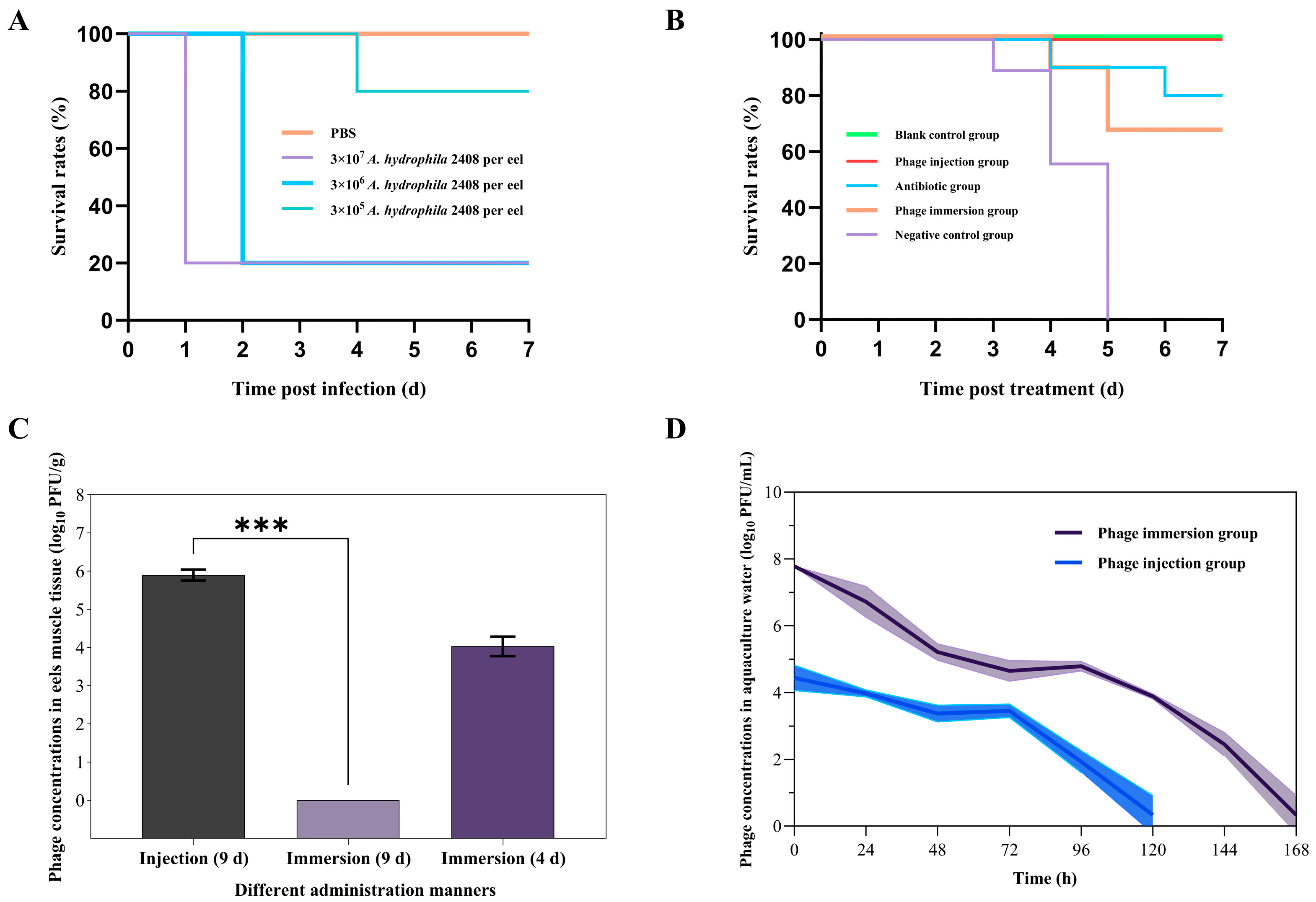 Antibiotics 15 00027 g007