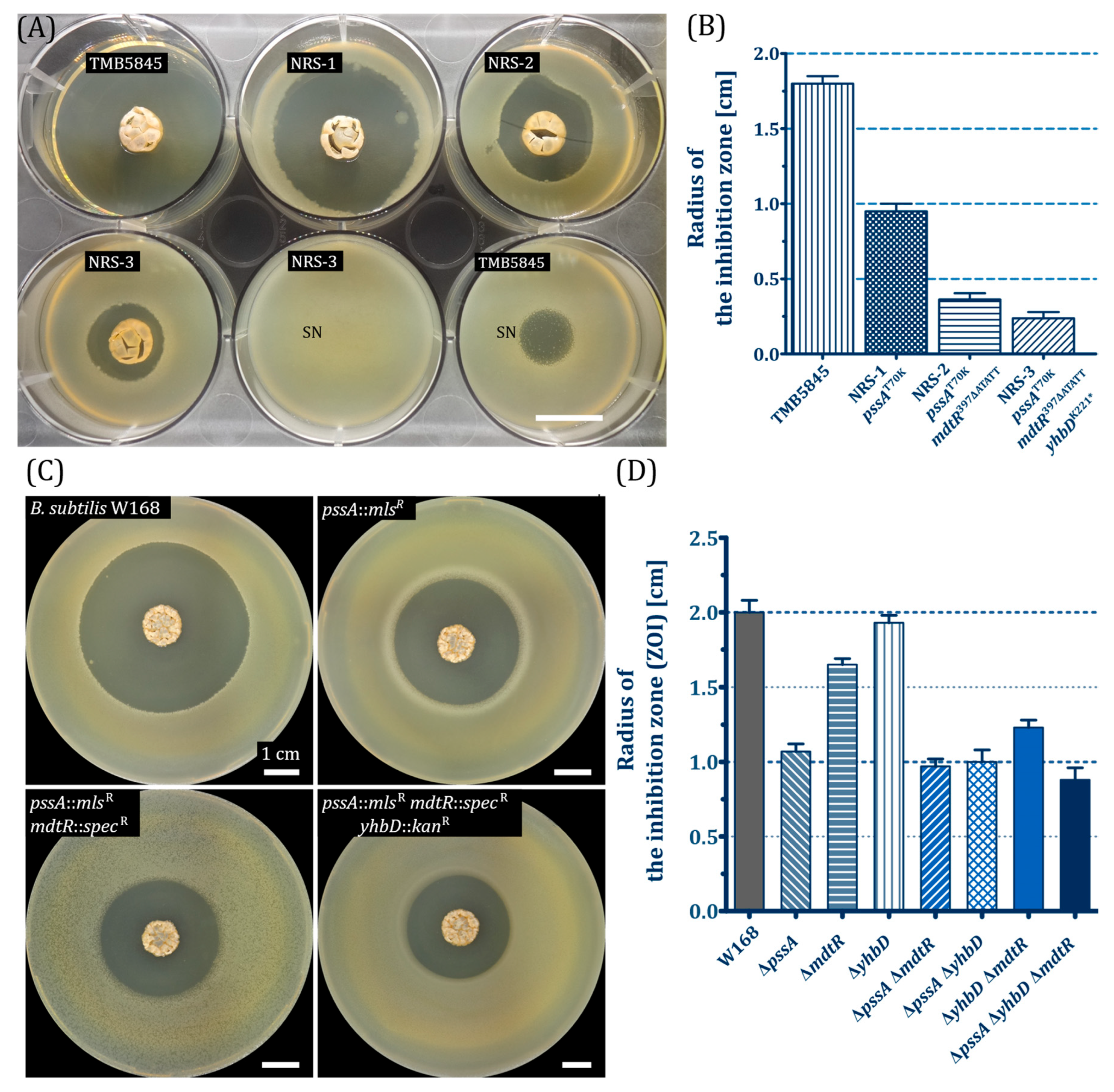 Antibiotics 15 00104 g003