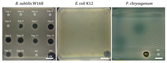 Antibiotics 15 00104 g0a5