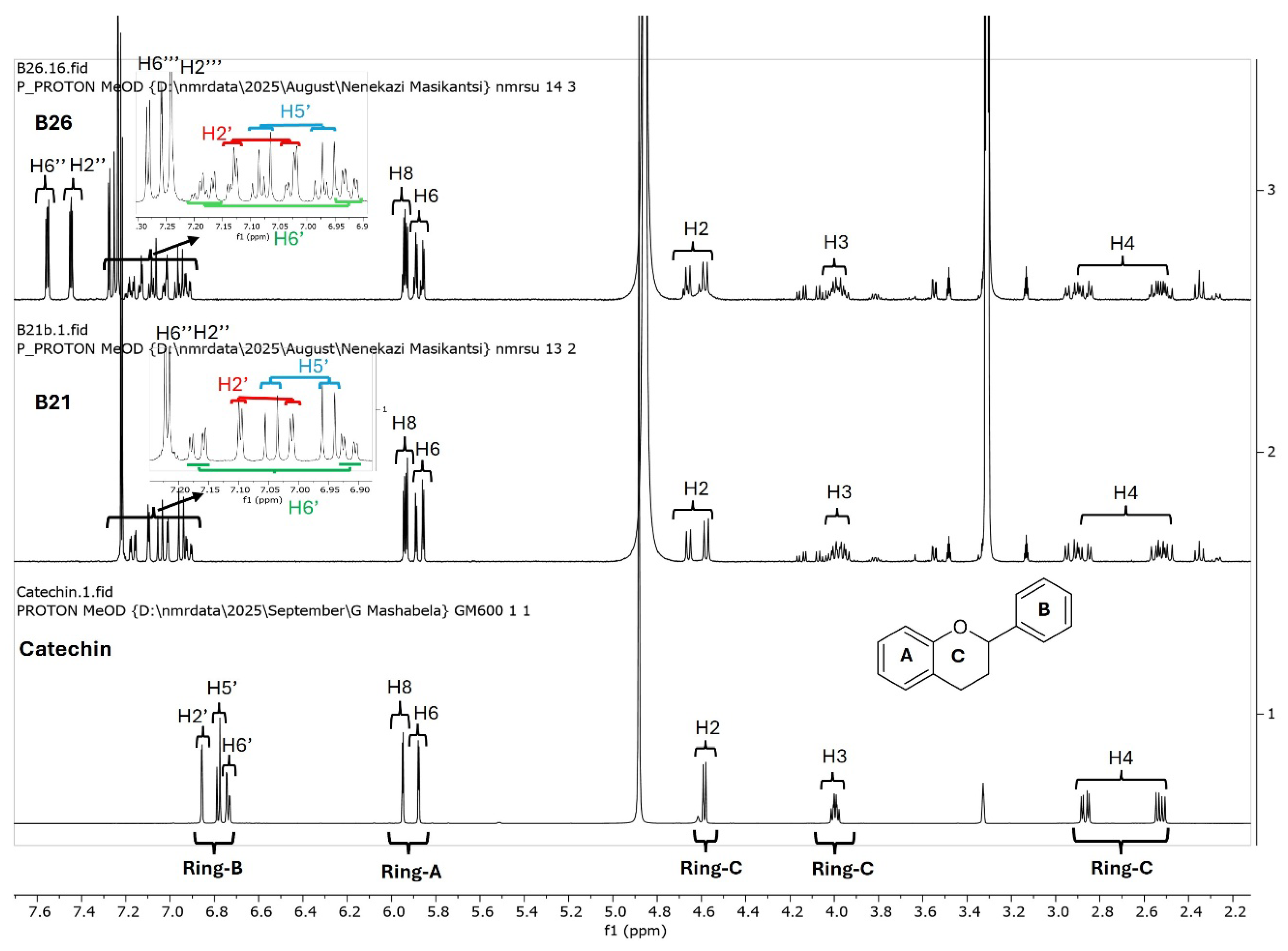 Antibiotics 15 00141 g005 Antibiotics 15 00141 g005