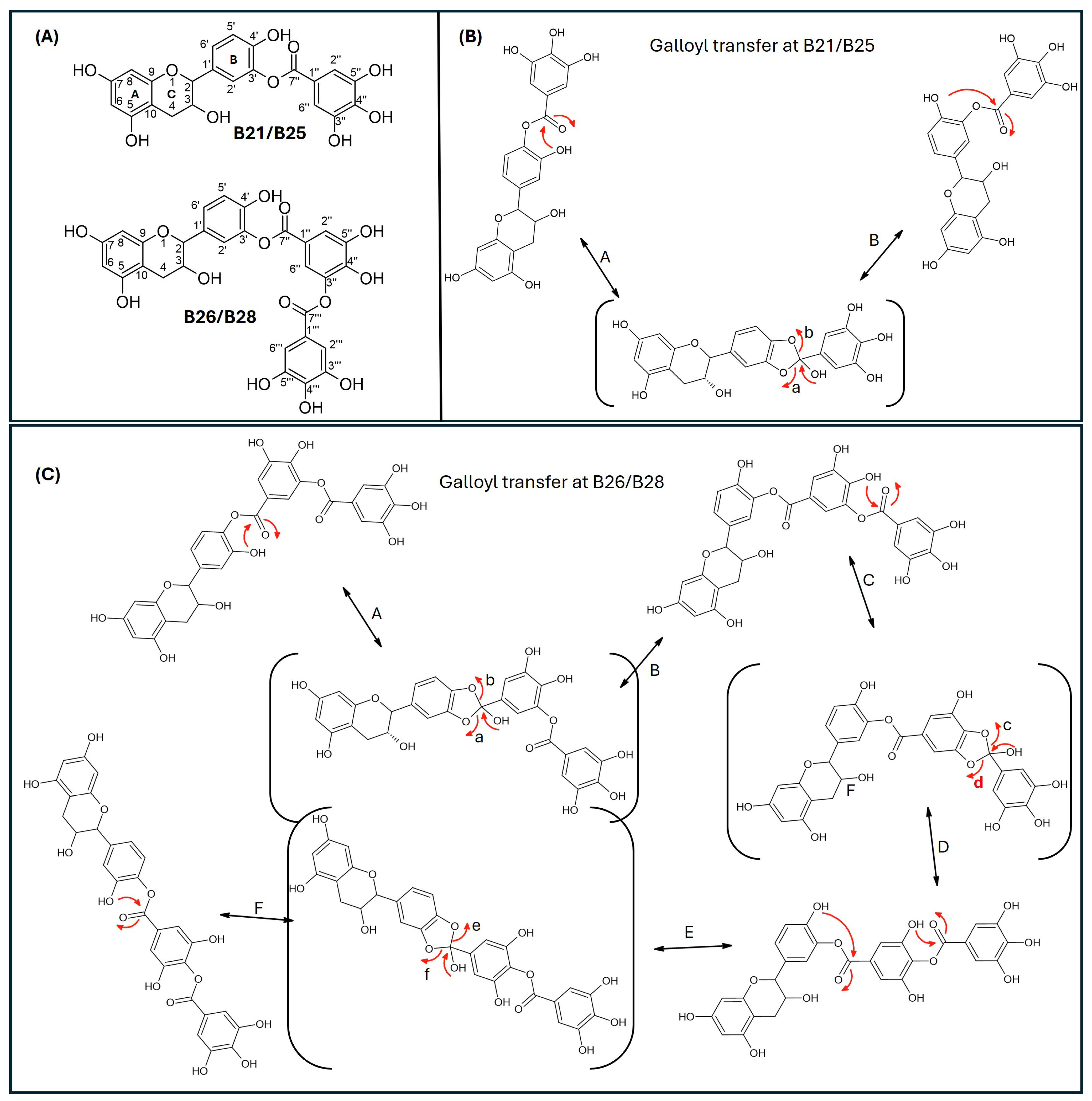 Antibiotics 15 00141 g006 Antibiotics 15 00141 g006