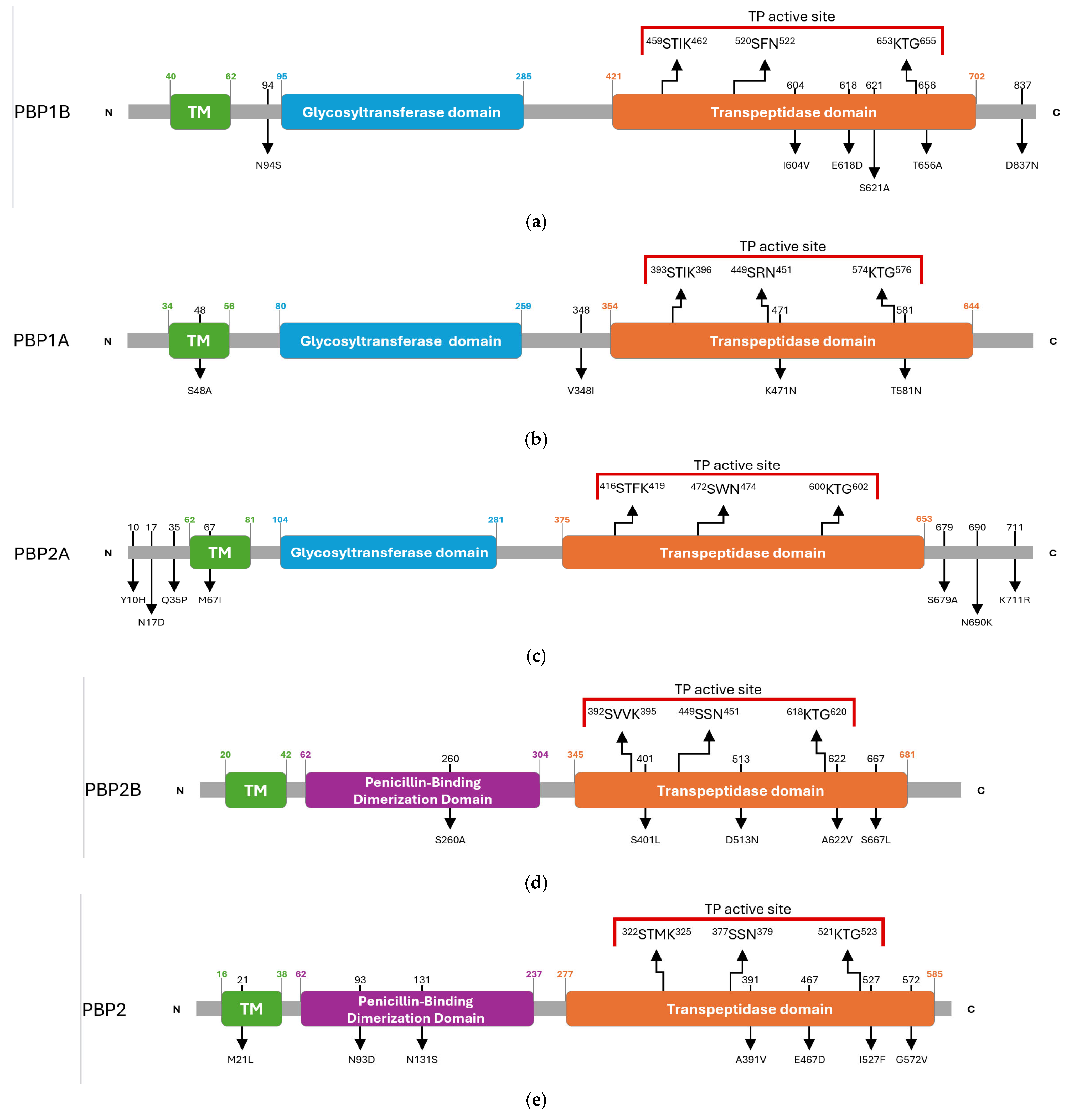 Antibiotics 15 00168 g002