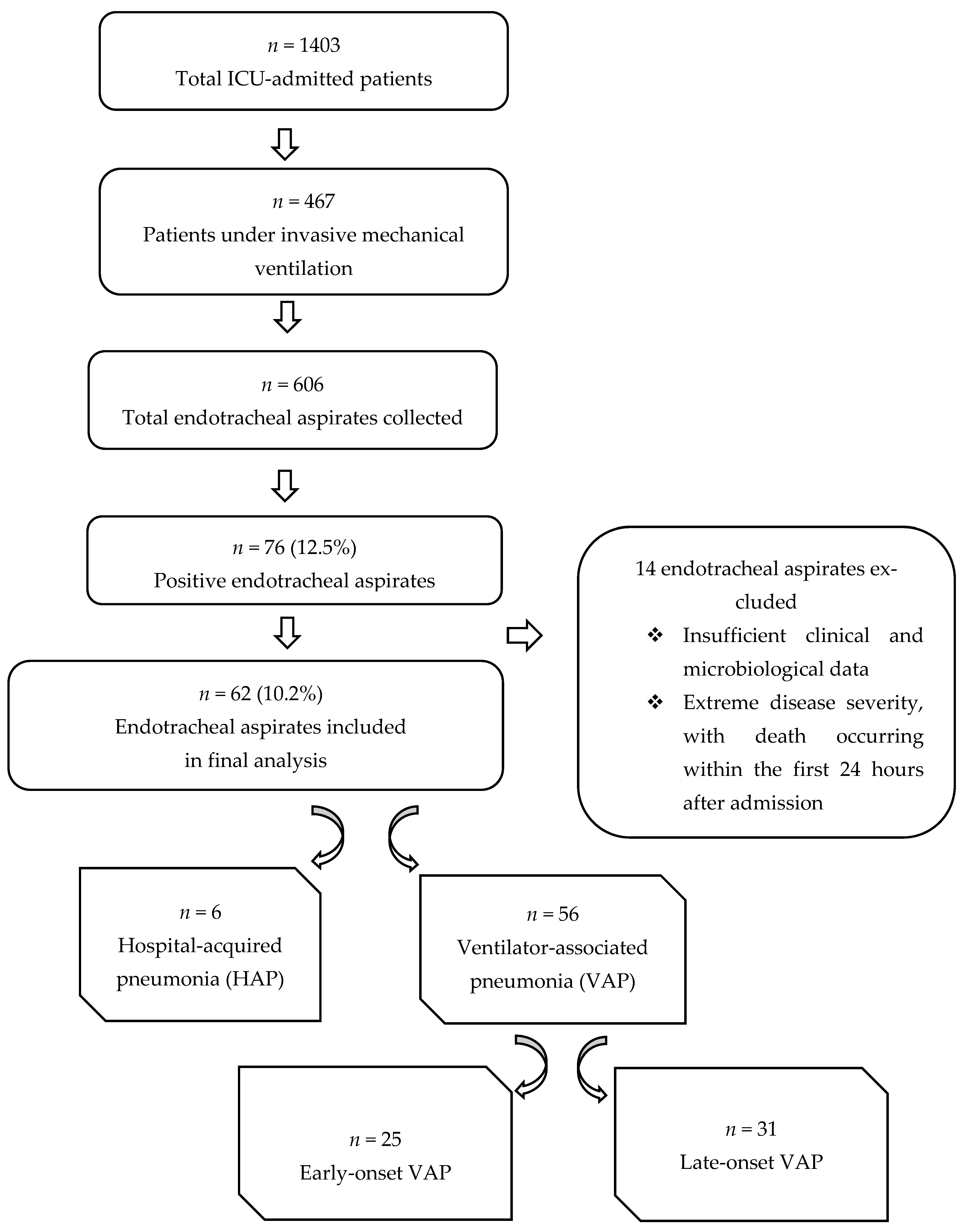 Antibiotics 15 00232 g001