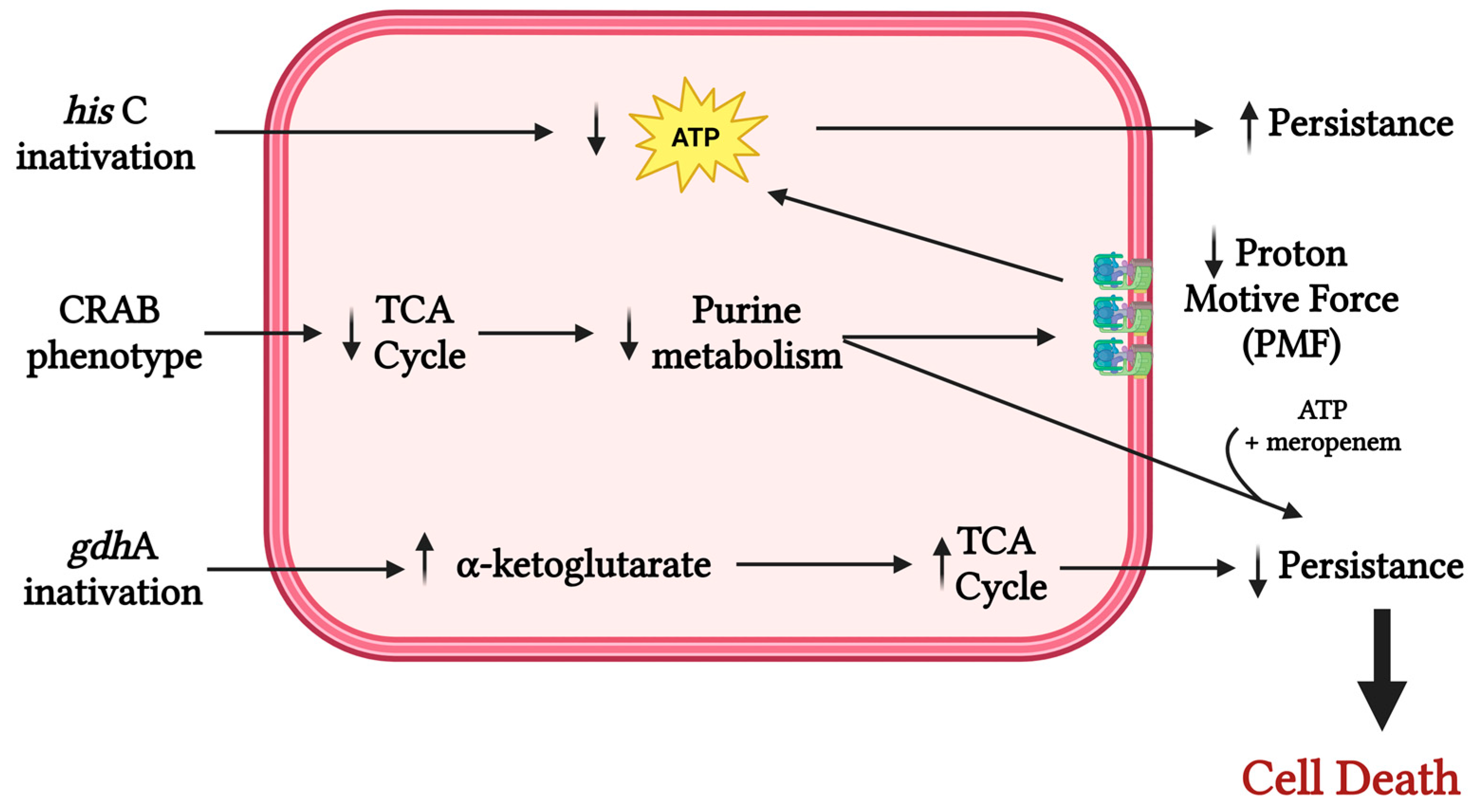 Antibiotics 15 00281 g001 Antibiotics 15 00281 g001