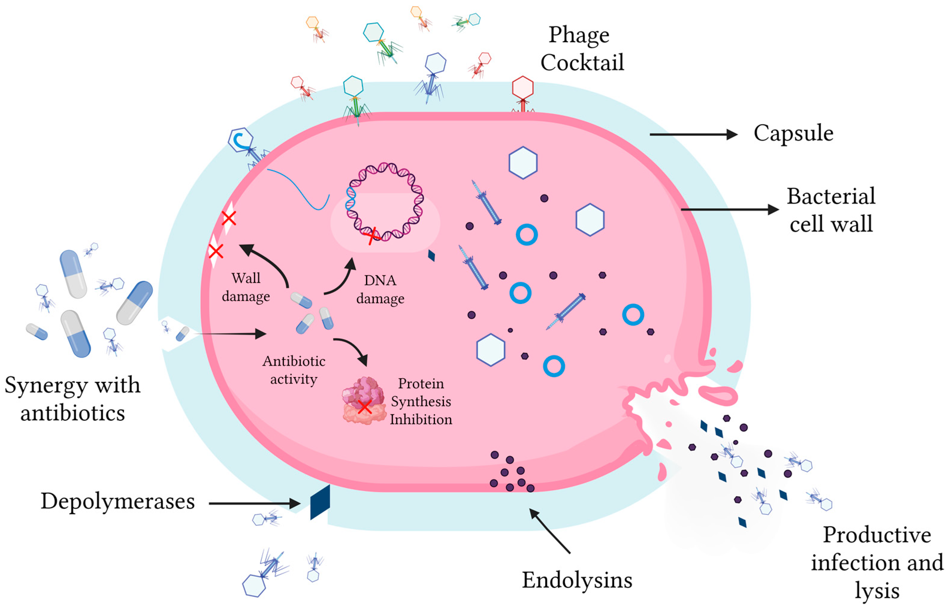 Antibiotics 15 00281 g003 Antibiotics 15 00281 g003