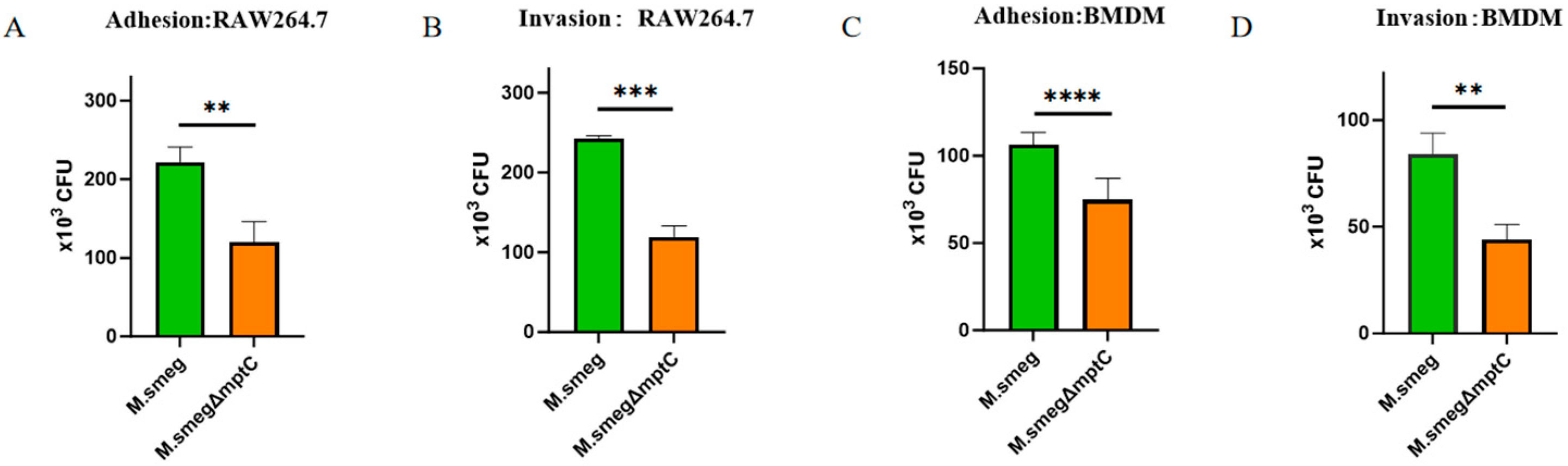 Antibiotics 15 00291 g006 Antibiotics 15 00291 g006