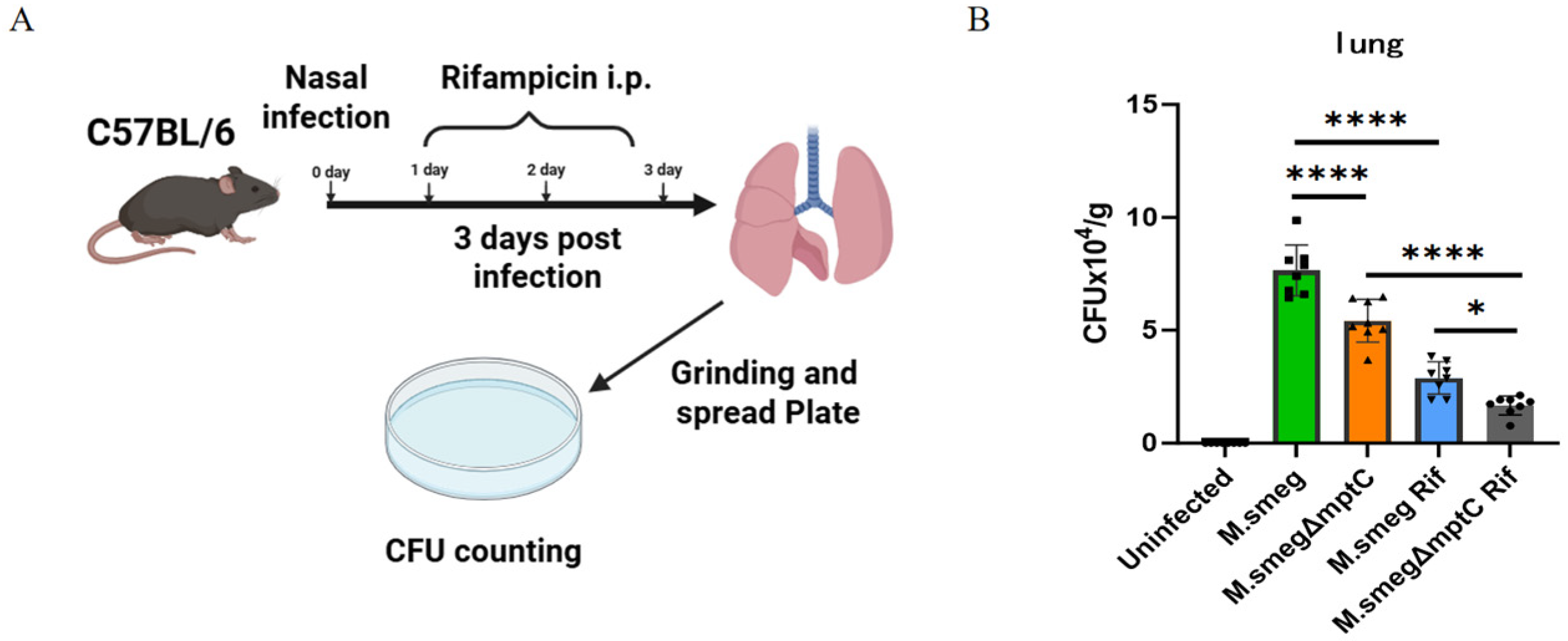 Antibiotics 15 00291 g009 Antibiotics 15 00291 g009